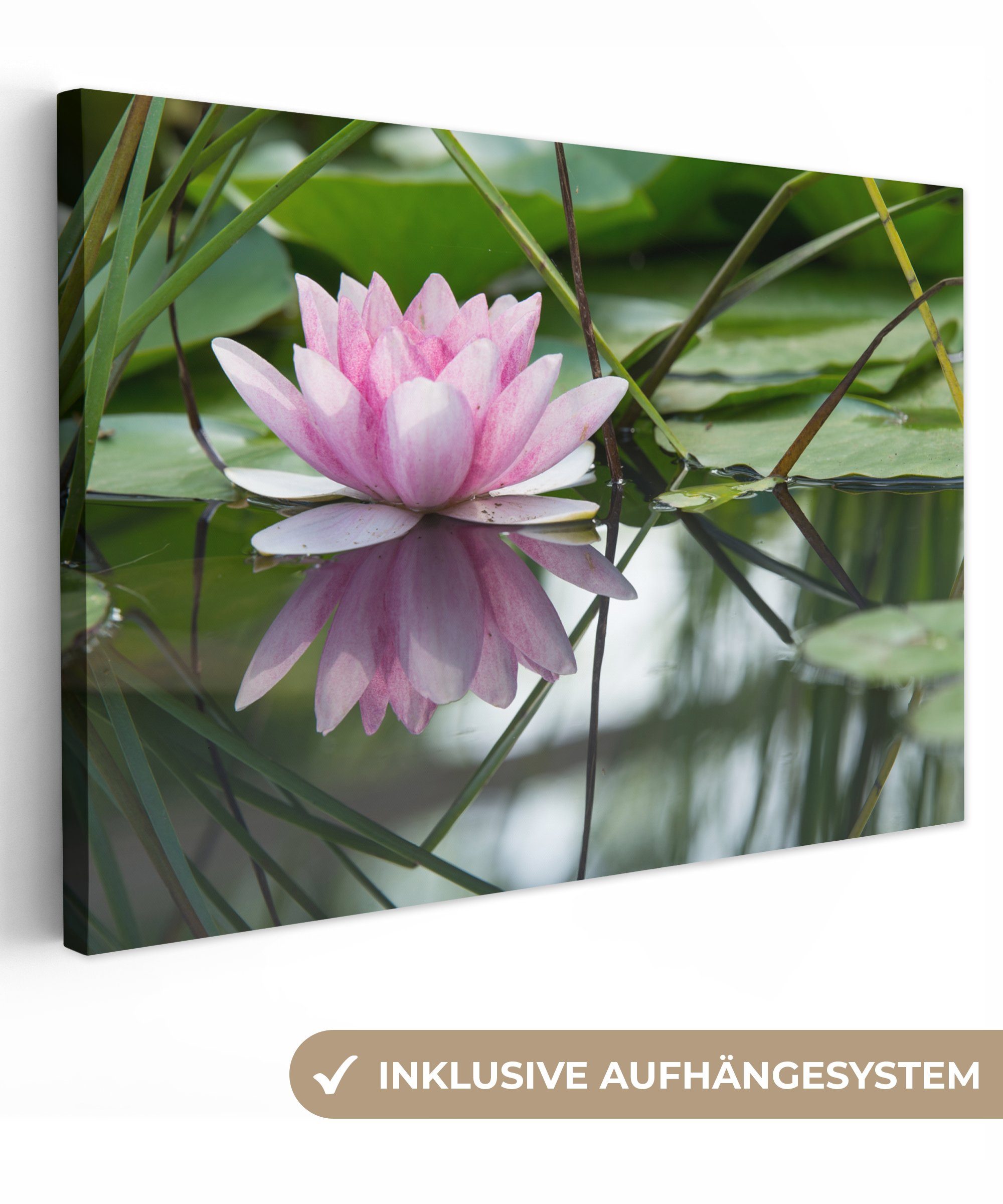 OneMillionCanvasses® Leinwandbild Blumen - Lotus - Wasser, (1 St), Wandbild Leinwandbilder, Aufhängefertig, Wanddeko, 30x20 cm