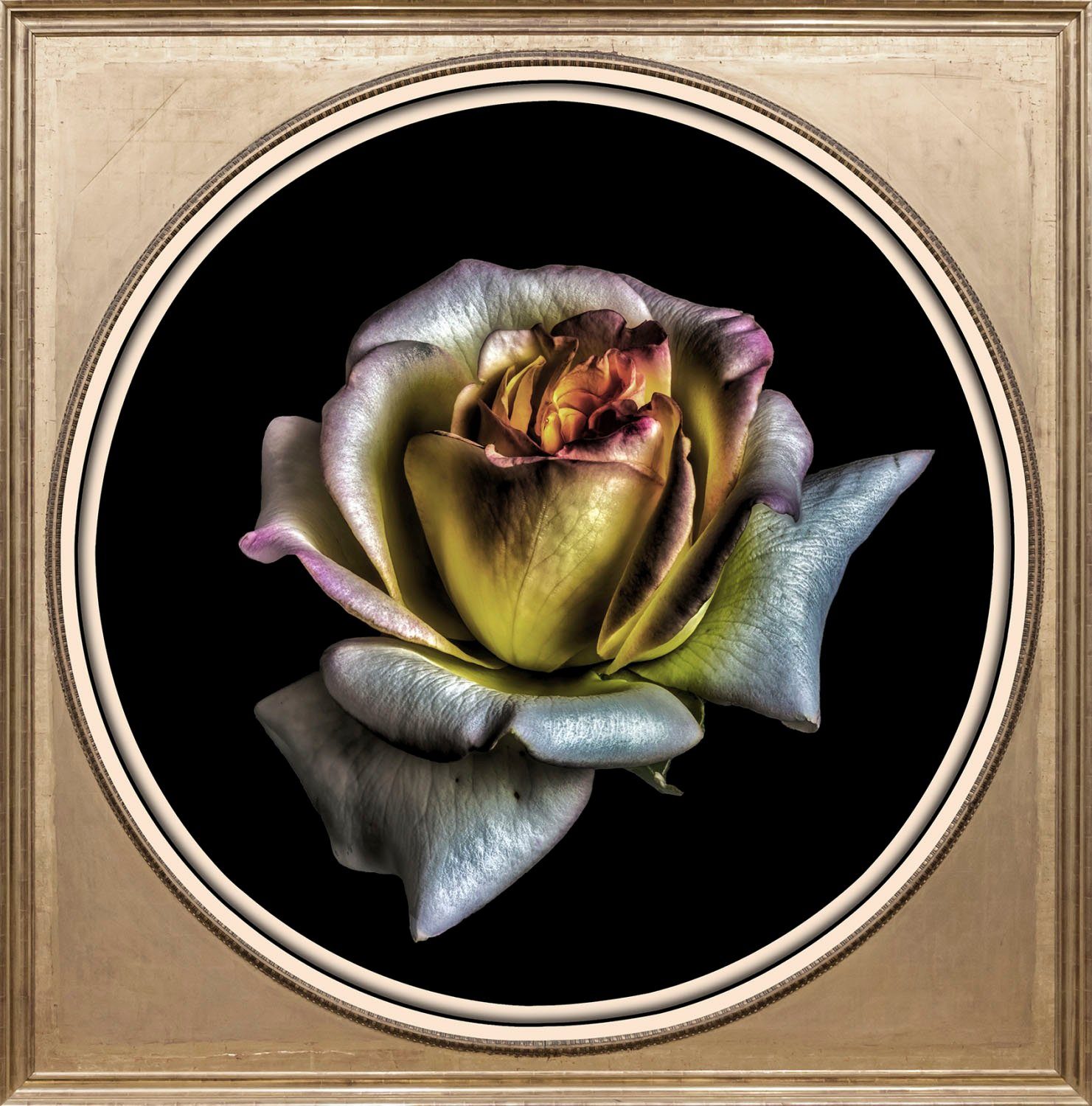 queence Acrylglasbild Blume