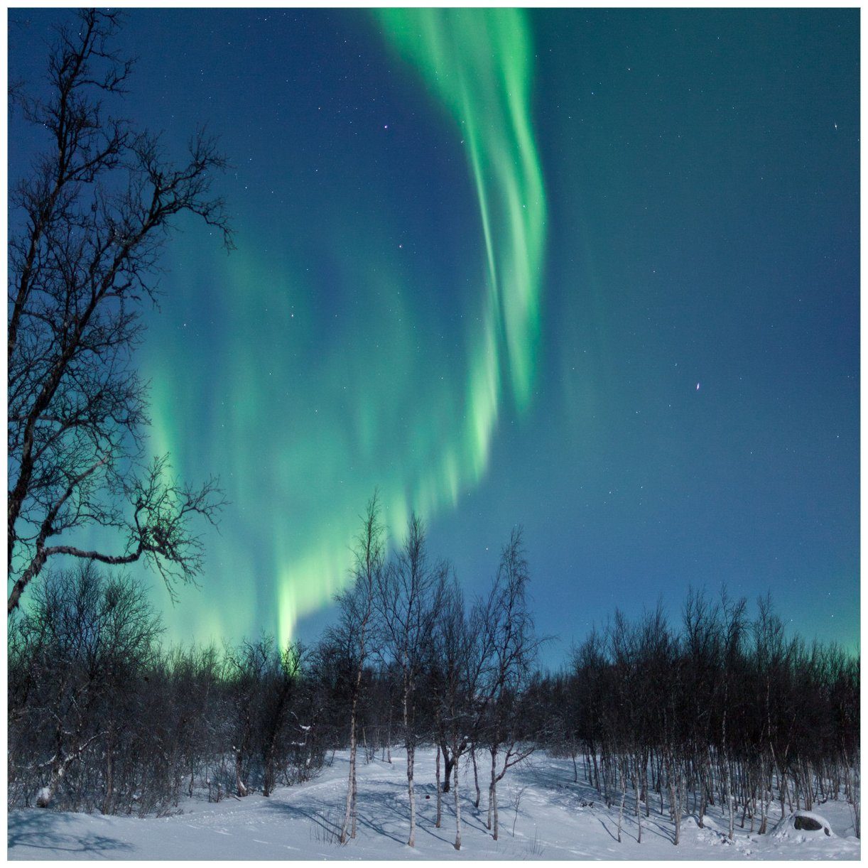 Wallario Acrylglasbild, Polarlicht in Schweden, in verschiedenen Ausführungen
