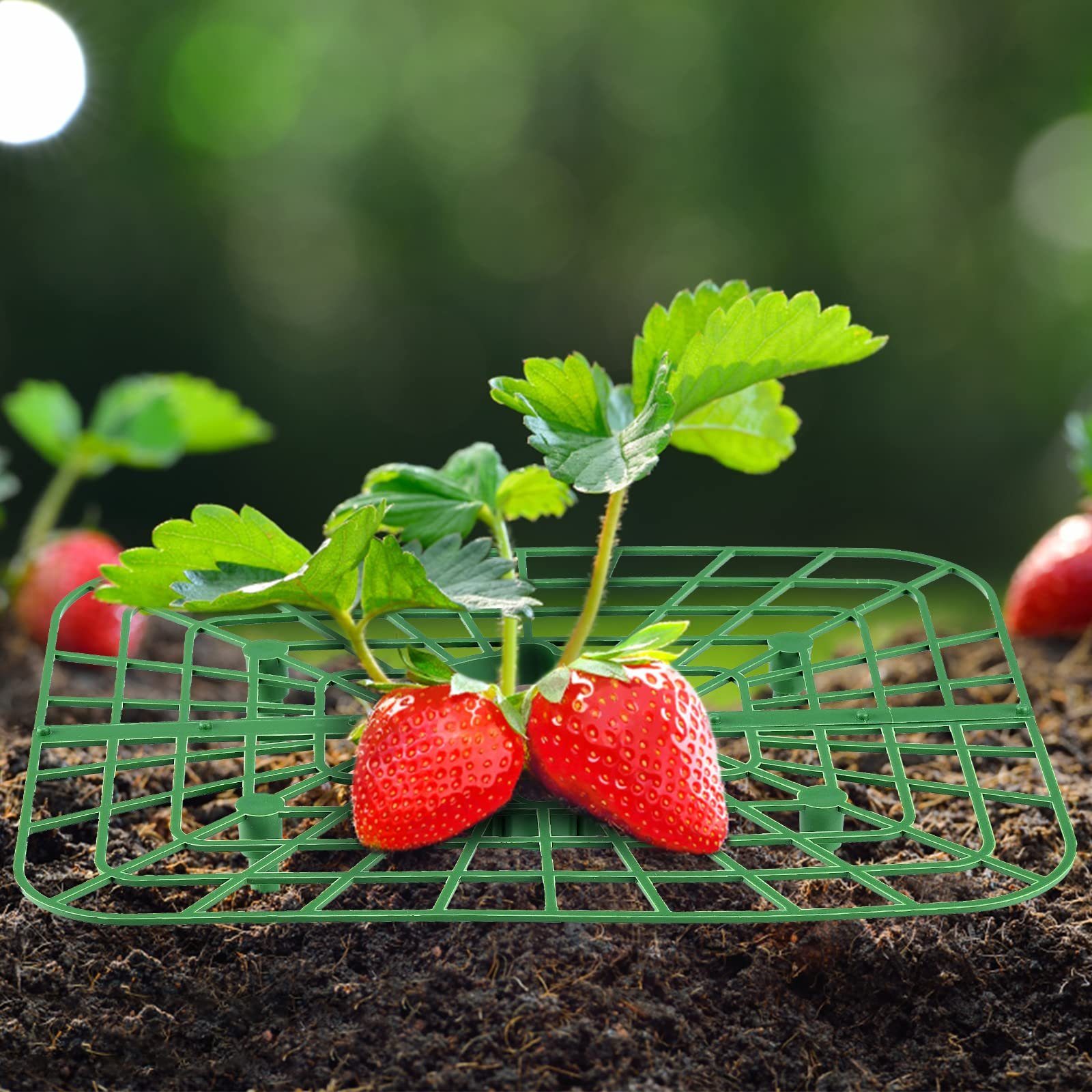 8x Obst/Gemüse,Kunststoff SEEZSSA für Erdbeeren von Beinen,Erdbeer-Pflanzenständer, 4 Erdbeerstützen mit Pflanzenregal,Balkon-Gemüseregal,Erhöhung Blumenständer