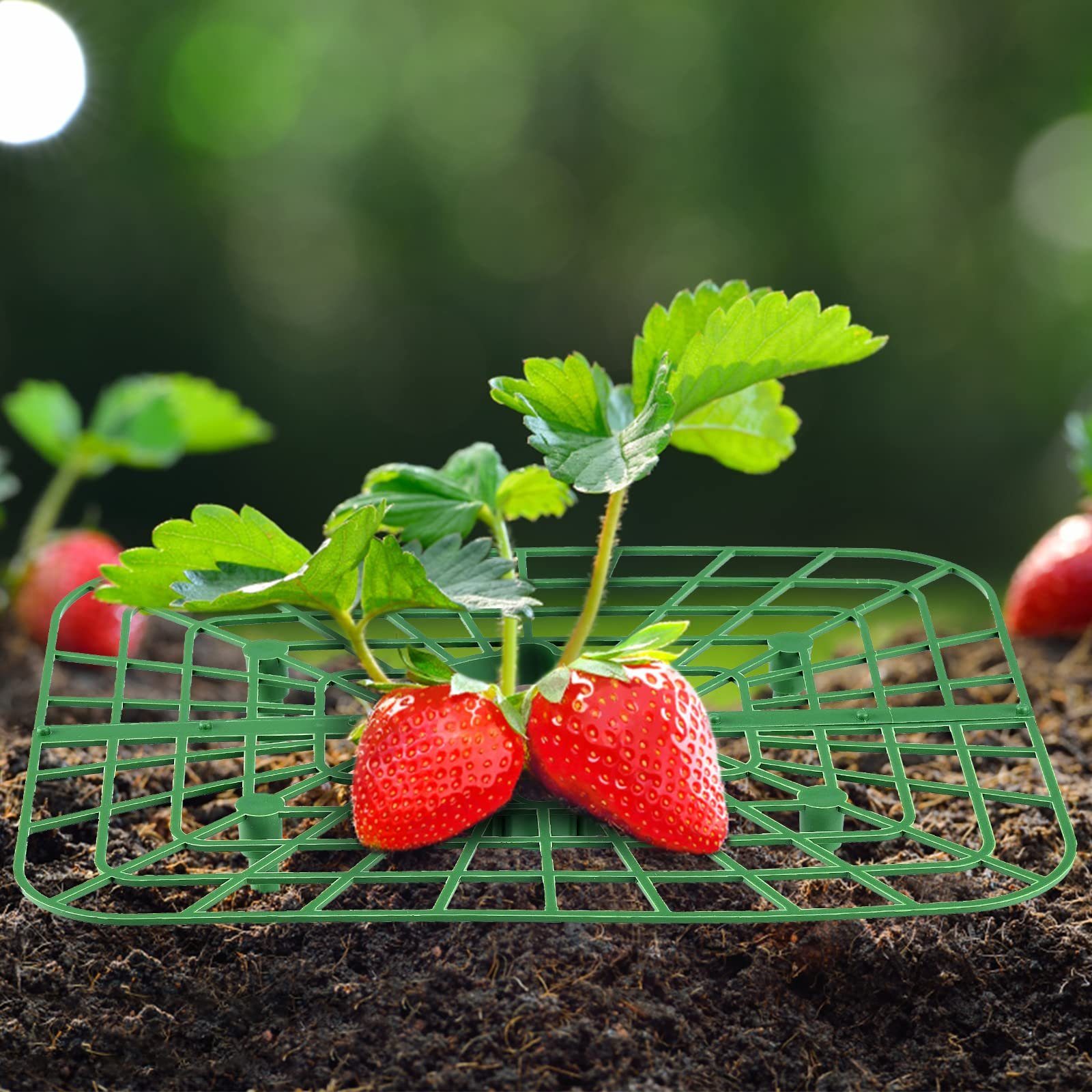 SEEZSSA Blumenständer 8x Erdbeerstützen für Erdbeeren günstig online kaufen