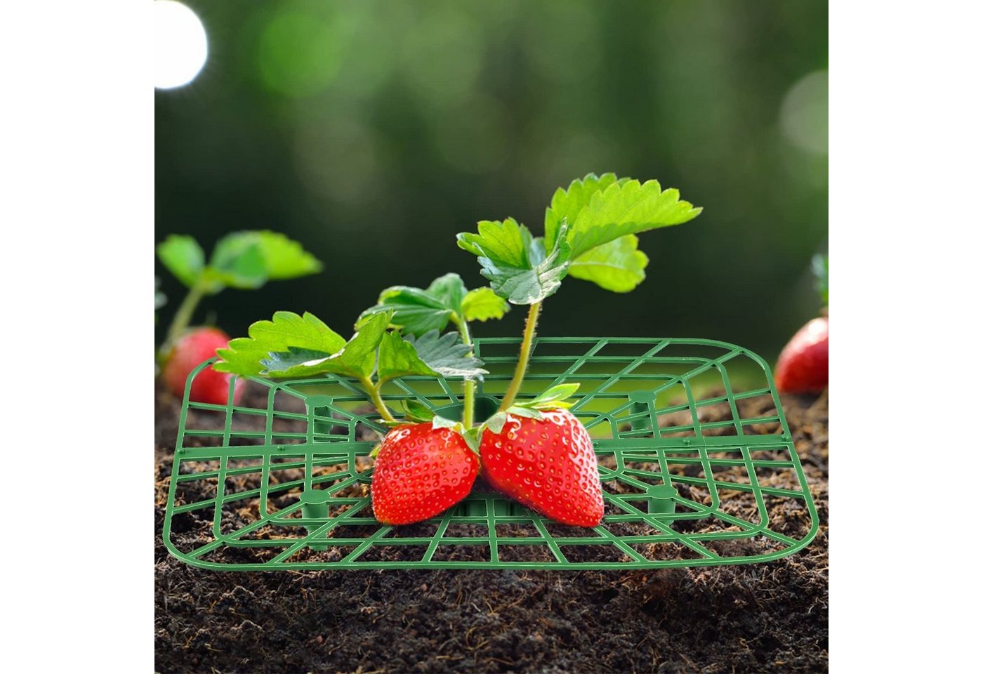 Thumbnail - SEEZSSA Blumenständer 8x Erdbeerstützen für Erdbeeren mit 4 Beinen,Erdbeer-Pflanzenständer, Pflanzenregal,Balkon-Gemüser...