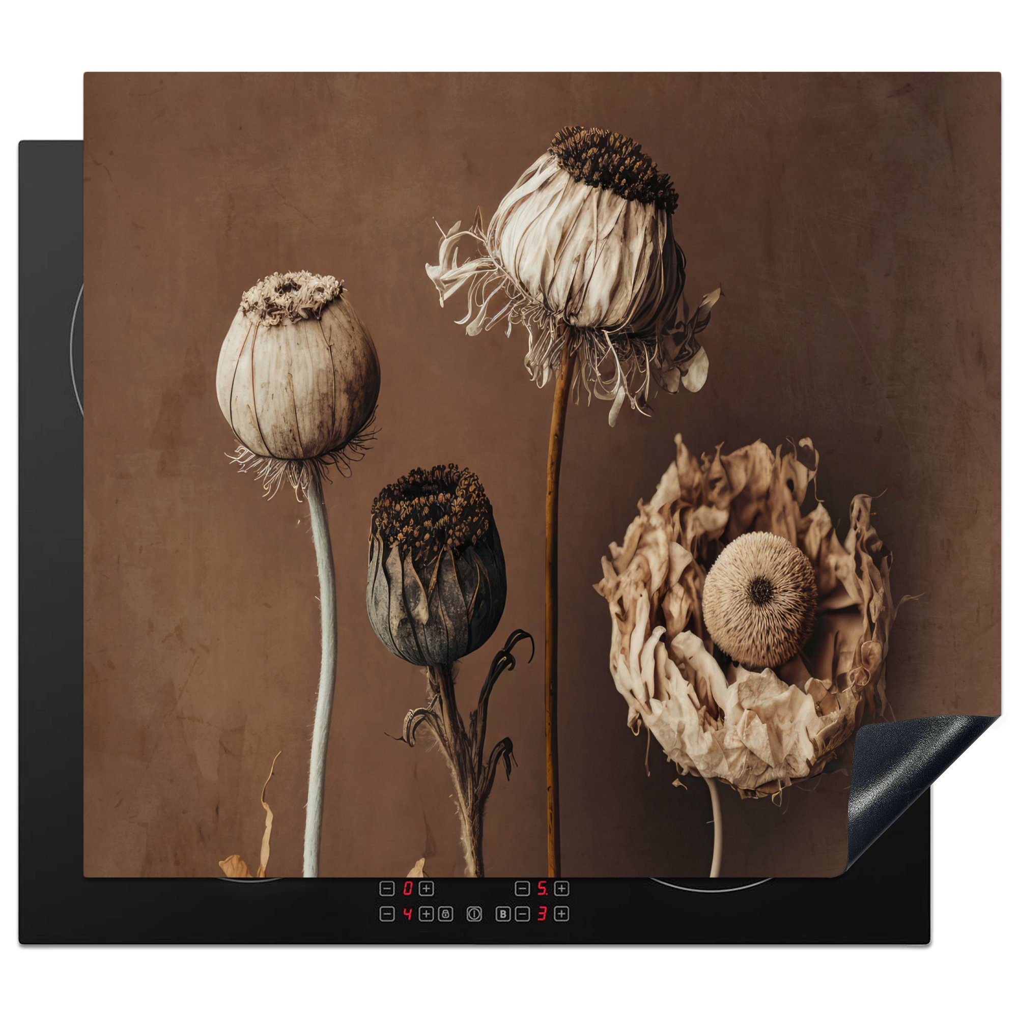 Ceranfeldabdeckung cm, Trockenblumen - 60x52 Blumen MuchoWow Braun, - Pflanzen Mobile nutzbar, Vinyl, Arbeitsfläche - tlg), (1 Herdblende-/Abdeckplatte