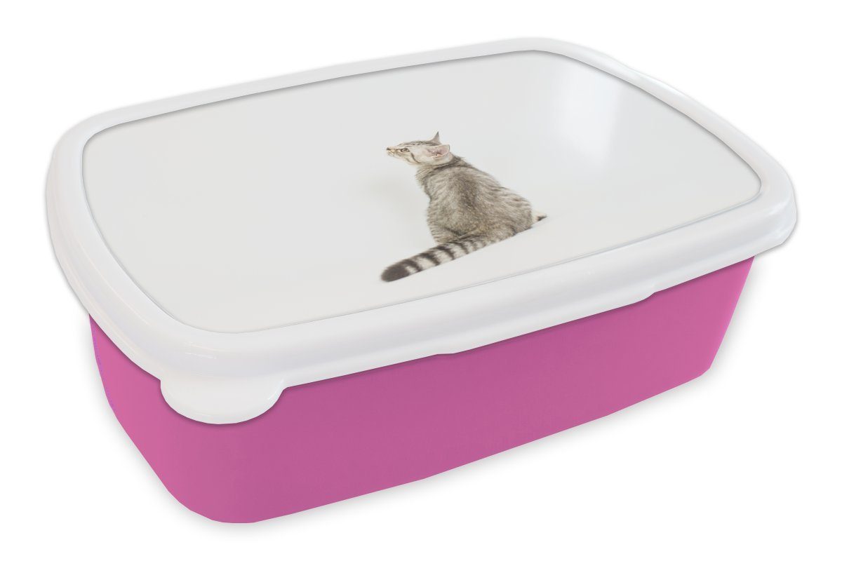 Katze Brotdose Kinder, Fell, Kunststoff, Kunststoff - für Lunchbox Mädchen, - Brotbox rosa MuchoWow Haustiere Snackbox, (2-tlg), Erwachsene,
