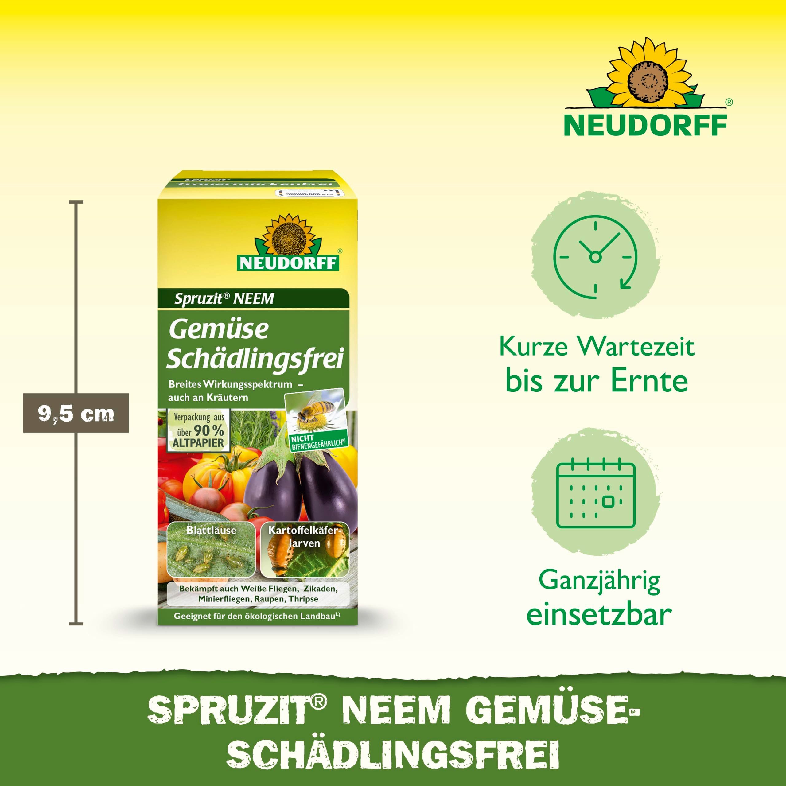 Neudorff Insektenspray Spruzit NEEM GemüseSchädlingsfrei 30 ml für 120 m², 30 ml, Konzentrat zur Bekämpfung von Schädlingen wie Blattläuse, Trauermücken und Raupen, an Gemüse und Kräutern, geringes Resistenzrisiko