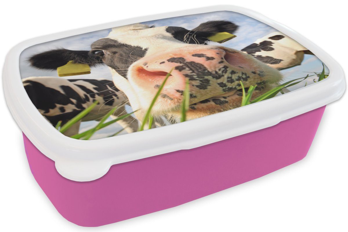 Kunststoff Kunststoff, Gras Snackbox, - für Tiere, Mädchen, Bauernhof rosa MuchoWow Erwachsene, - (2-tlg), Brotdose - Lunchbox Kuh Kinder, Brotbox