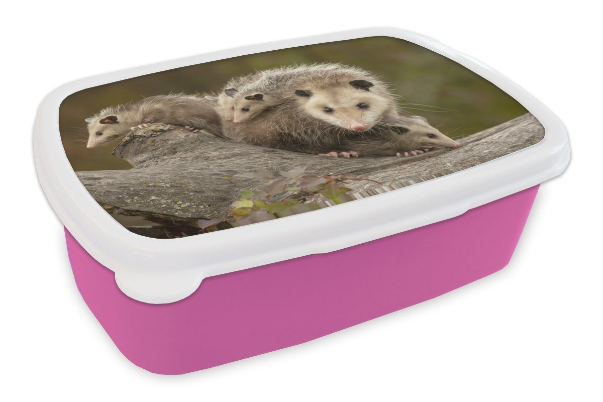 Opossum Brotbox Kinder, Snackbox, Lunchbox für mit rosa (2-tlg), Mädchen, Jungen, Virginisches Erwachsene, Brotdose Kunststoff Kunststoff, MuchoWow