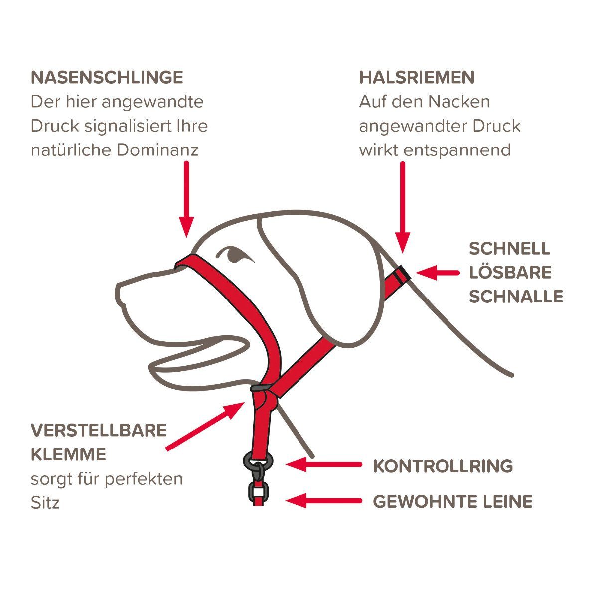 beaphar Hunde-Erziehungsgeschirr Gentle Leader® schwarz günstig online kaufen