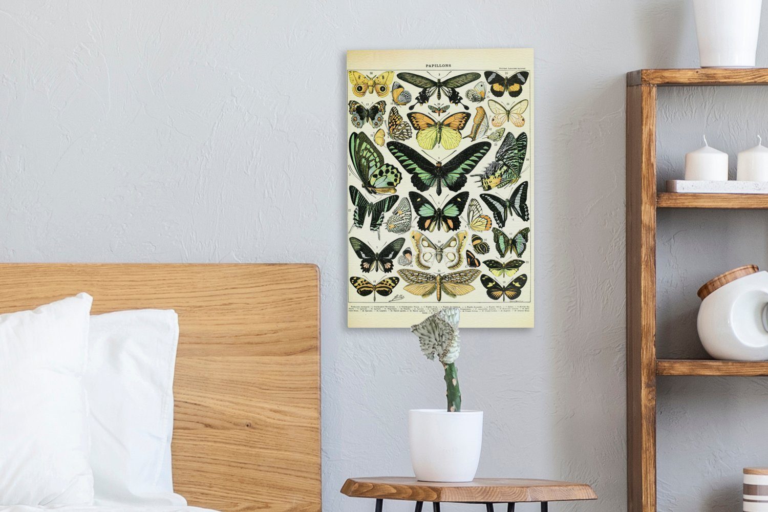 Leinwandbild - Zackenaufhänger, (1 OneMillionCanvasses® Grün, bespannt cm Tiere St), Schmetterlinge Gemälde, Leinwandbild fertig - inkl. 20x30