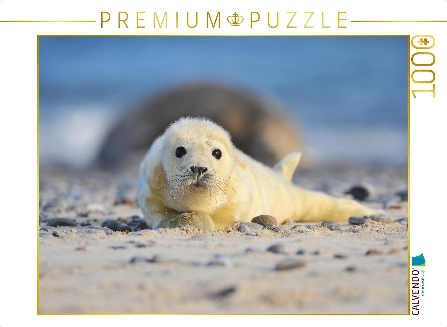 Puzzle CALVENDO Puzzle Neugieriger Nachwuchs 1000 Teile Lege-Größe 64 x 48 cm Foto-Puzzle Bild von Elmar Weiß