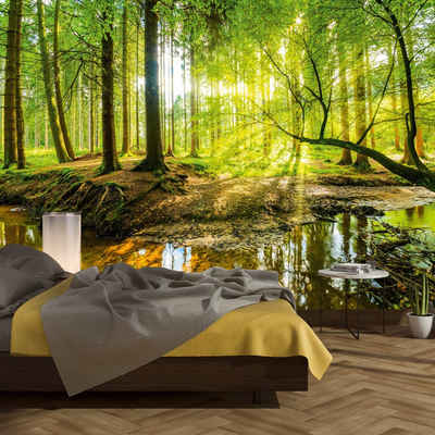 murimage® Fototapete Fototapete Wald 366 x 254 cm inklusive Kleister Bäume Holz Sonne Natur Schlafzimmer Wohnzimmer