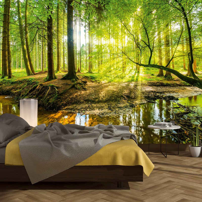 murimage® Fototapete Fototapete Wald 366 x 254 cm inklusive Kleister Bäume Holz Sonne Natur Schlafzimmer Wohnzimmer