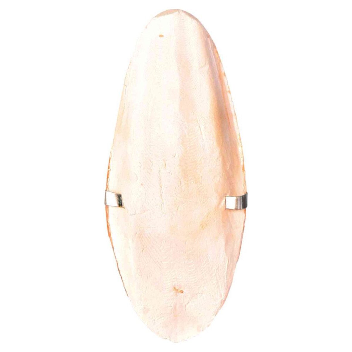 TRIXIE Sepia-Schale mit Halter - 144 Stück