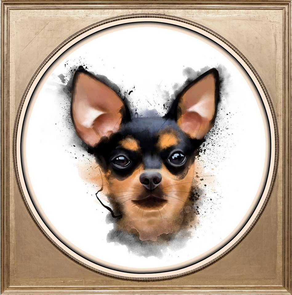 queence Acrylglasbild Chihuahua