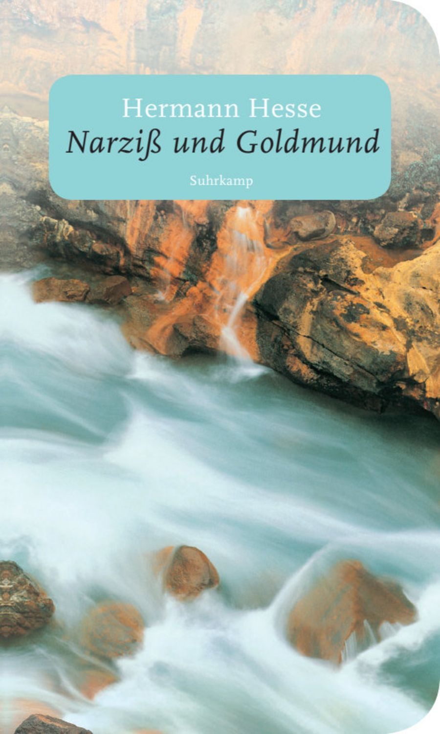 Narziß und Goldmund / Hermann Hesse