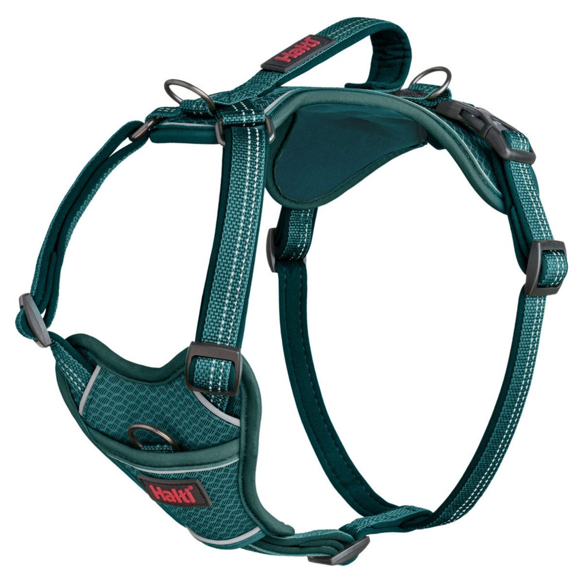 Company of Animals Hunde-Geschirr Hundegeschirr Anatomy Harness Teal