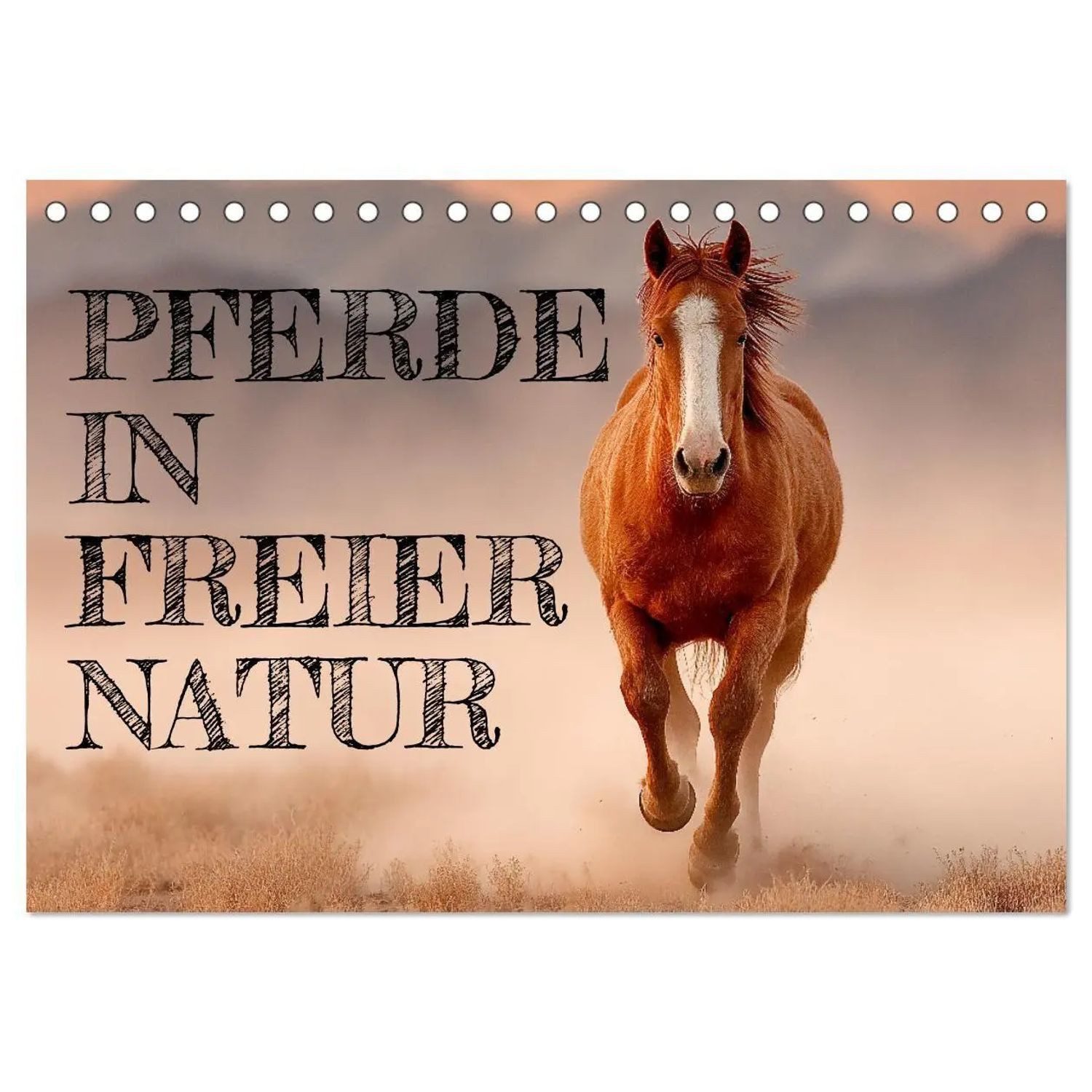CALVENDO Monatskalender Pferde in freier Natur (Tischkalender 2026 DIN A5 quer), CALVENDO...