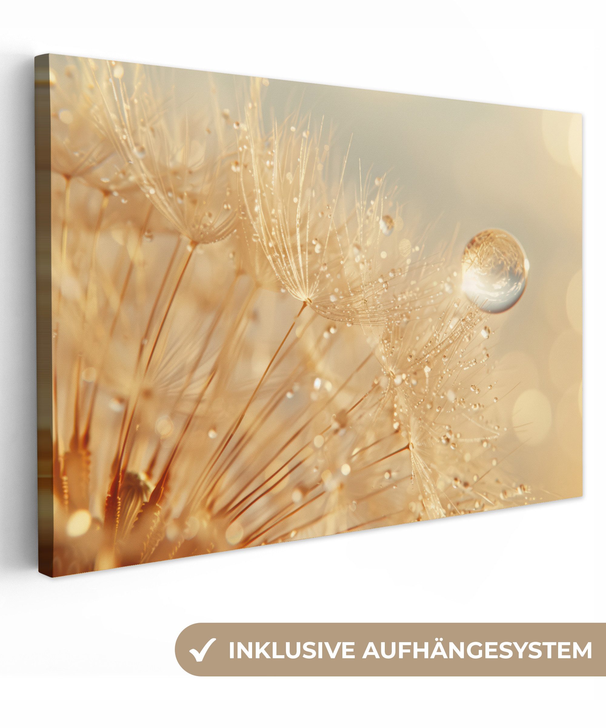 OneMillionCanvasses® Leinwandbild Löwenzahn - Wasser - günstig online kaufen