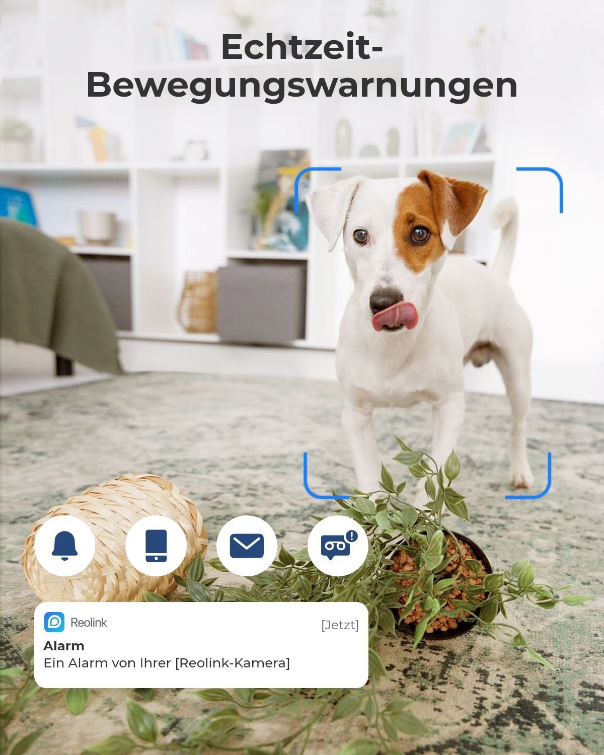 Reolink Überwachungskamera 4MP WLAN IP E1-Series (Innenbereich, Pan-Tilt,2,4-GHz-WLAN, Bewegungserkennung, Bidirektionales Audio) – Bild 4 von 5