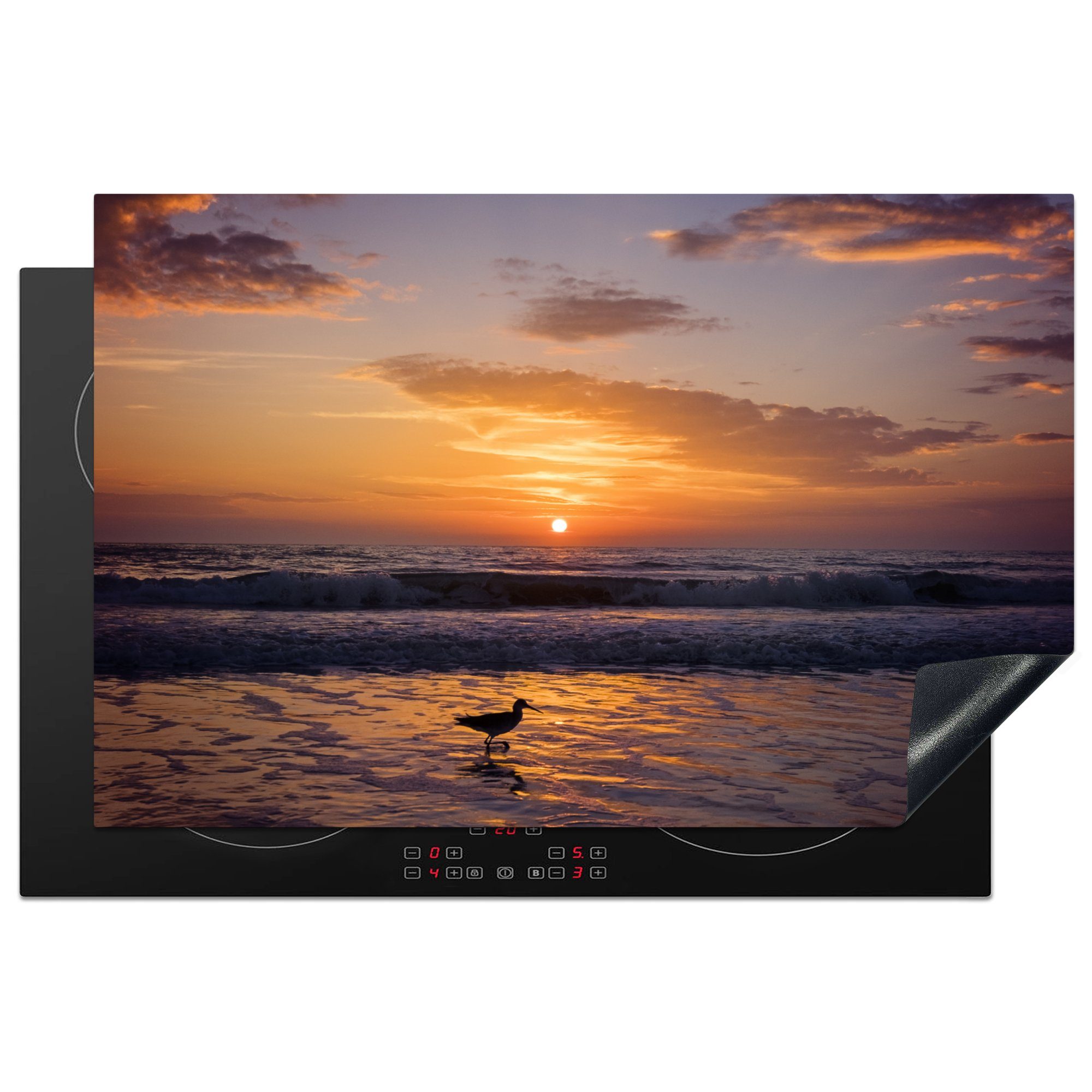 Online-Verkäufe MuchoWow Herdblende-/Abdeckplatte Willet bei für die tlg), Vinyl, küche, am cm, Schutz Sonnenuntergang 81x52 Ceranfeldabdeckung Induktionskochfeld (1 Strand