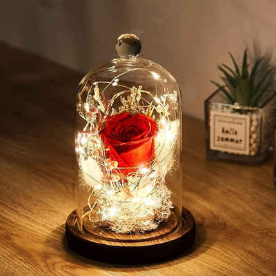 Kunstblume Ewige Rose im Glas mit Licht für Mädchen, AKKEE, Höhe 18 cm, für Valentinstag, Hochzeit, Muttertag, Geburtstag