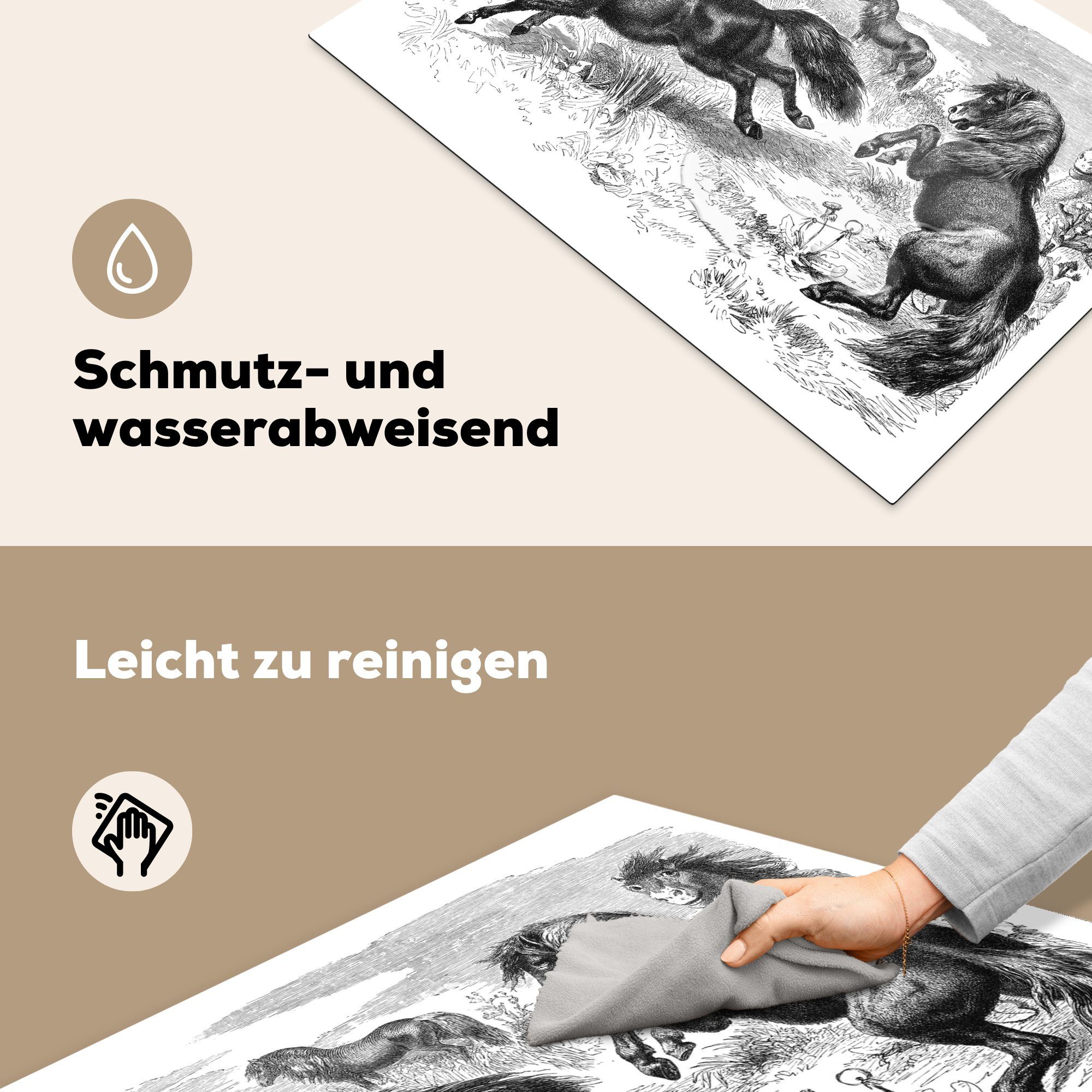 Vinyl, cm, Induktionskochfeld in Shetlandponys Lebensraum, MuchoWow 81x52 Eine die küche, Herdblende-/Abdeckplatte natürlichen von Ceranfeldabdeckung Schutz (1 ihrem tlg), Illustration für