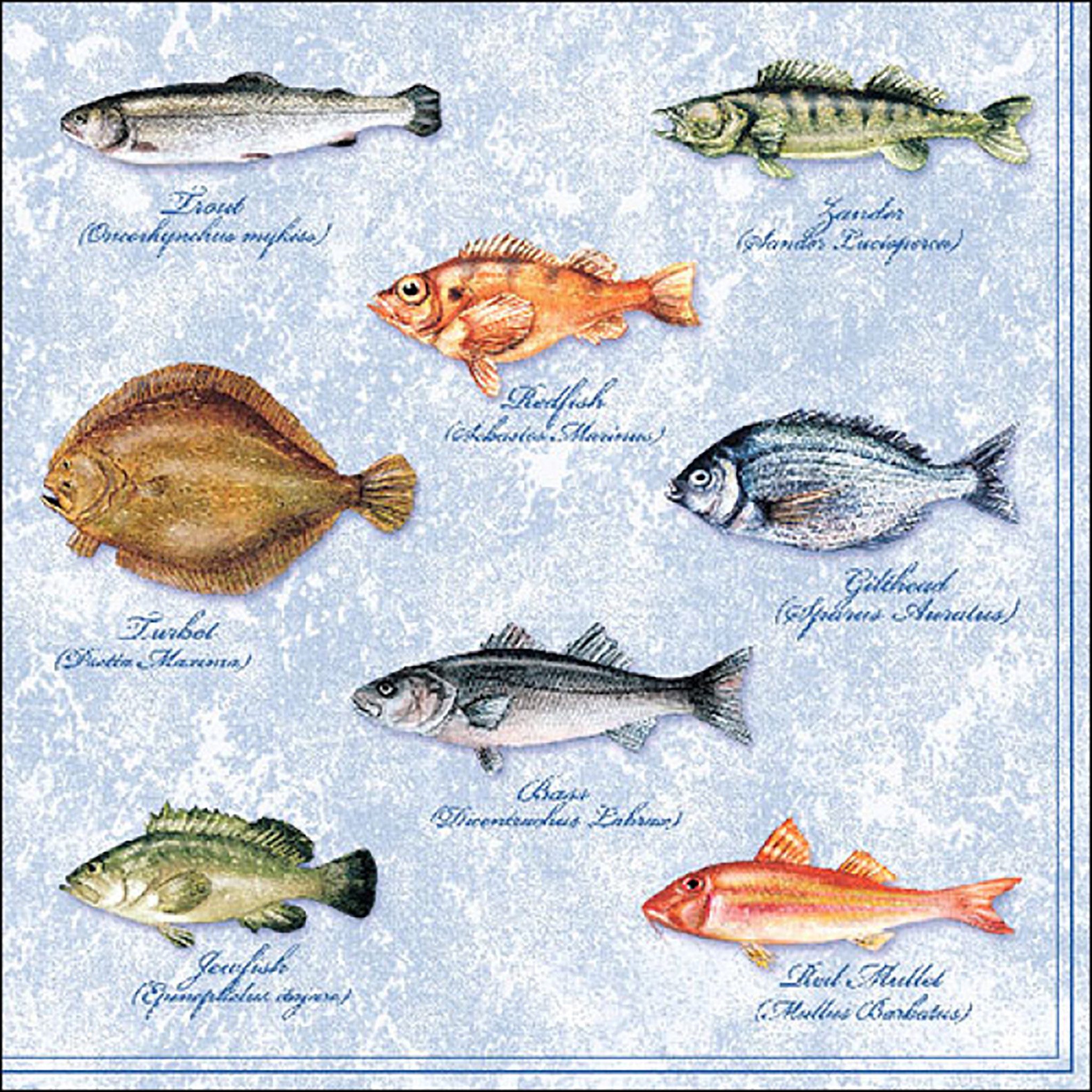 Ambiente Luxury Paper Products Papierserviette, Servietten Papier 33x33cm 3-lagig mit Meeresfische Motiv 20 Stück