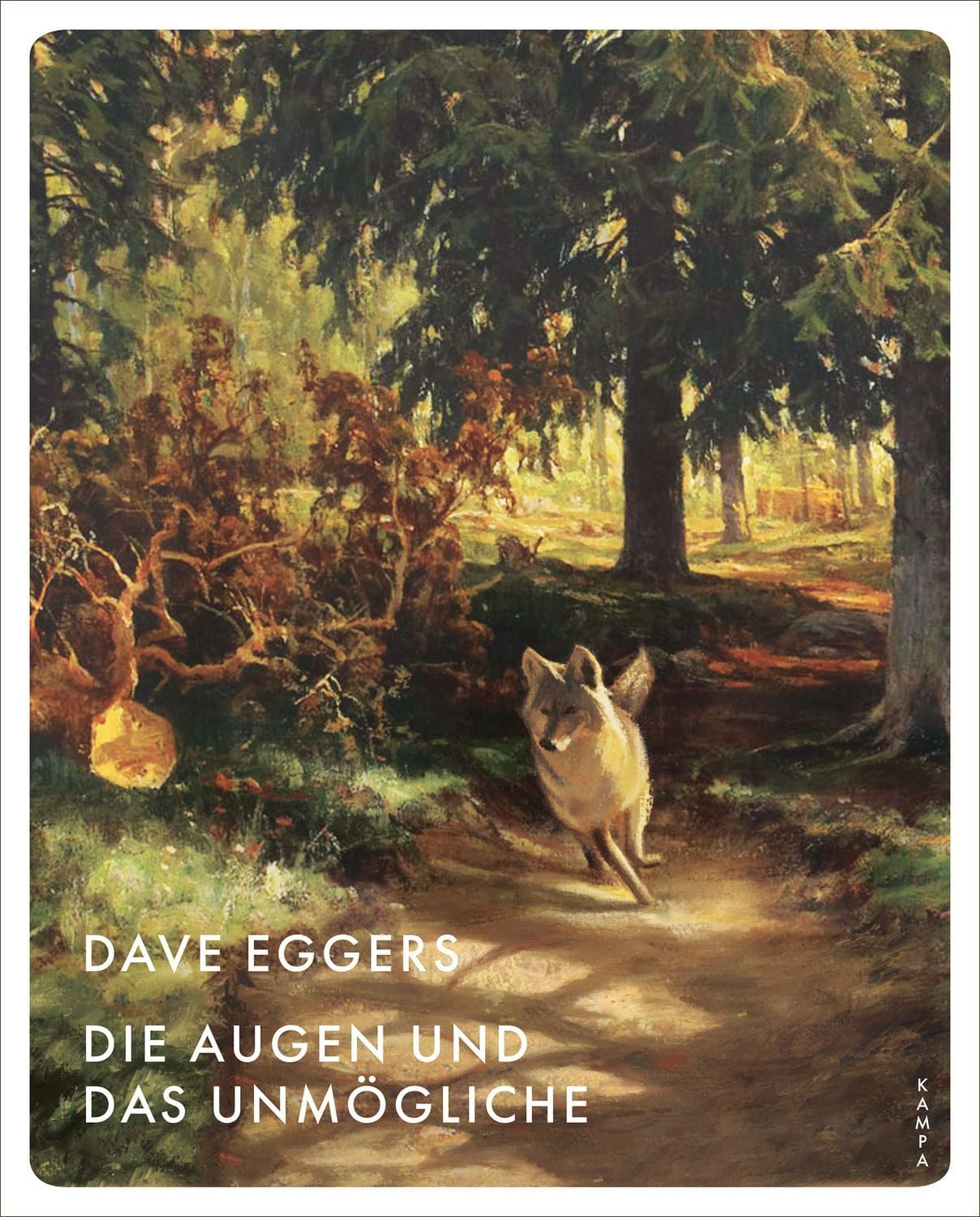 Die Augen und das Unmögliche / Dave Eggers