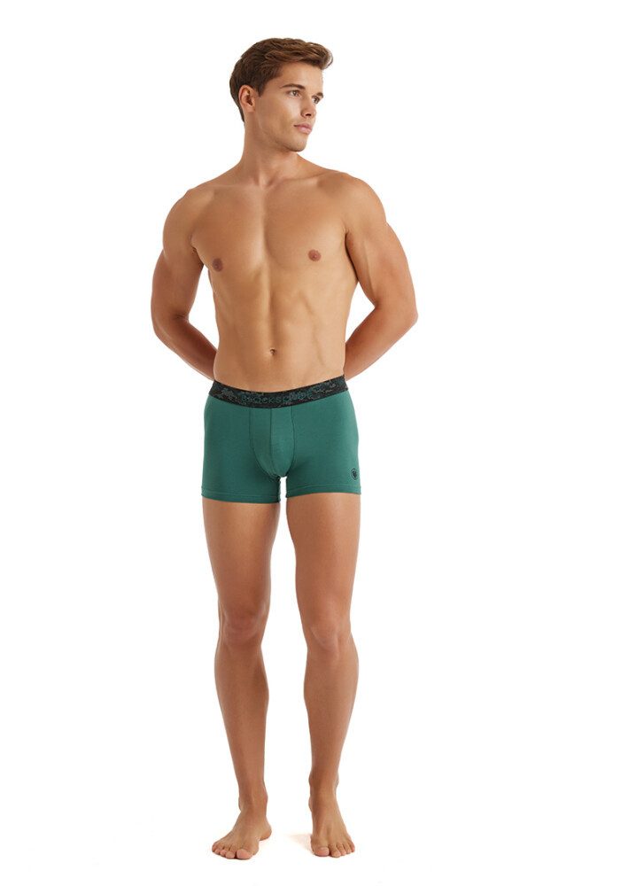 Boxer Herren Baumwoll Stretch Boxershorts 9555 - Grün