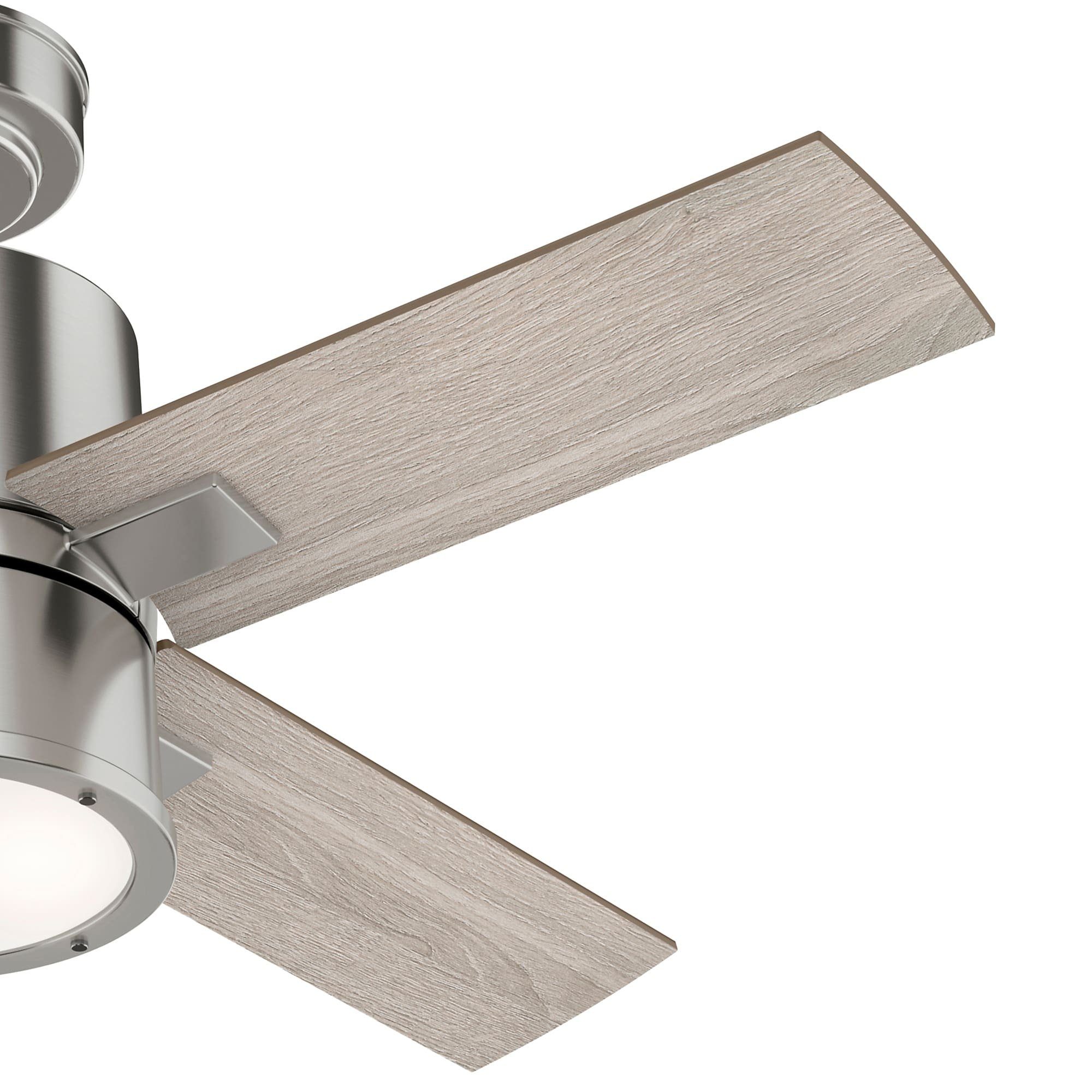 Hunter Deckenventilator Deckenventilator Beck mit Licht & Fernbedienung