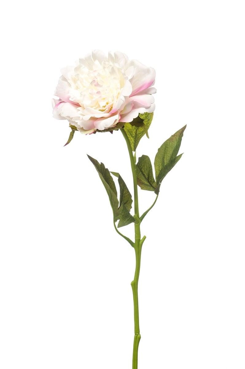 Kunstblume Pfingstrose GAVRON, weiß-rosa, 55cm Pfingstrose, artplants, Höhe 55.0 cm