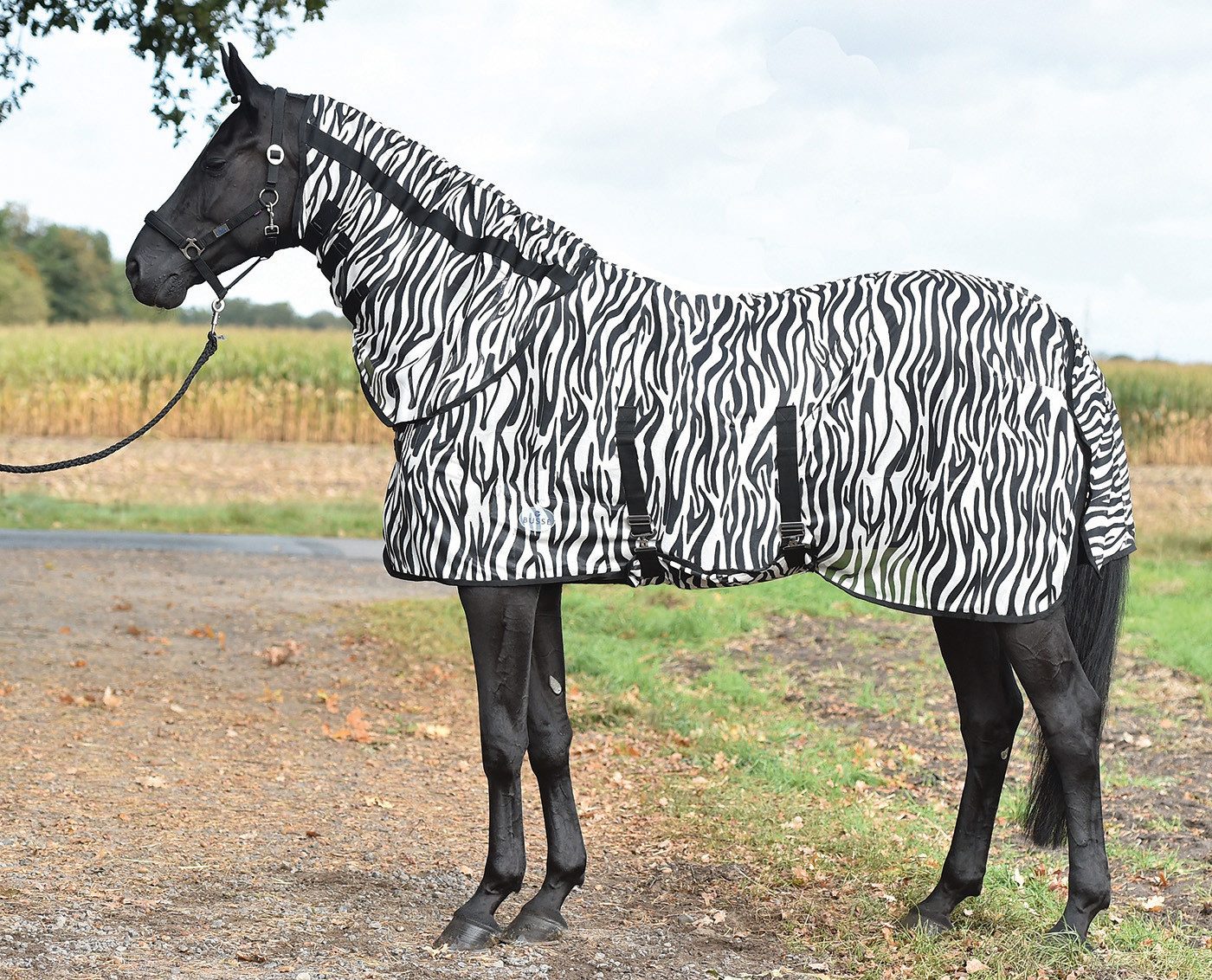 BUSSE Pferde-Fliegendecke Busse Paddock-Fliegendecke ZEBRA, mit Bauchlatz