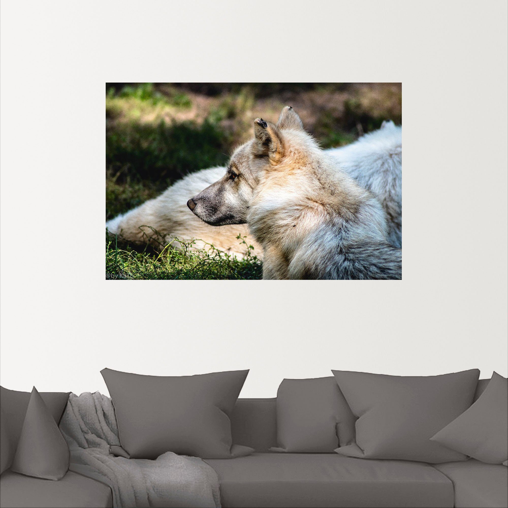 Artland Wandbild »Blick in die Ferne«, Wolfbilder (1 Stück), in vielen Größen & Produktarten - Alubild / Outdoorbild für den Außenbereich, Leinwandbild, Poster, Wandaufkleber / Wandtattoo auch für Badezimmer geeignet-kaufen