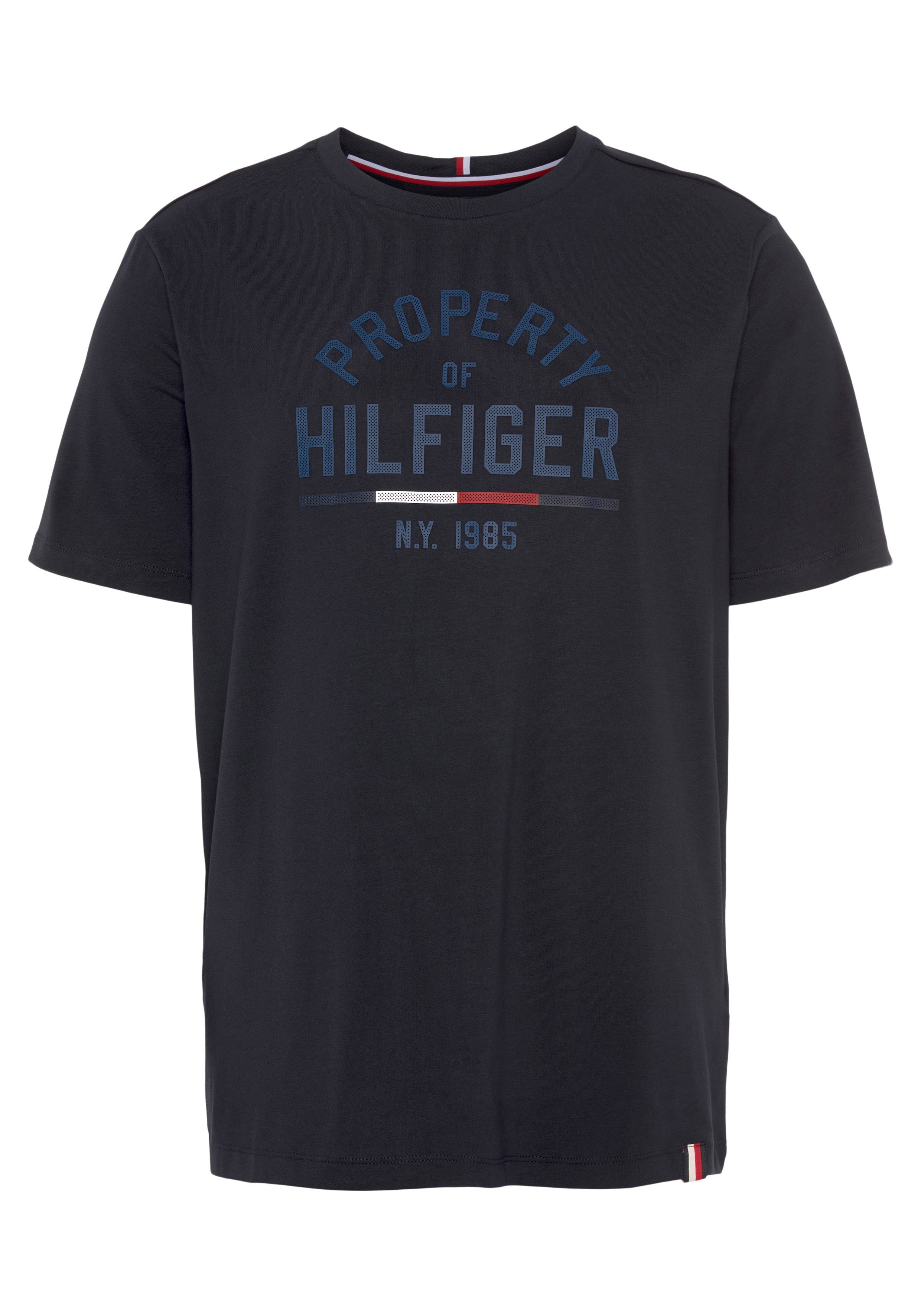 Tommy Hilfiger Sport T-Shirt GRAPHIC TEE Desert Sky