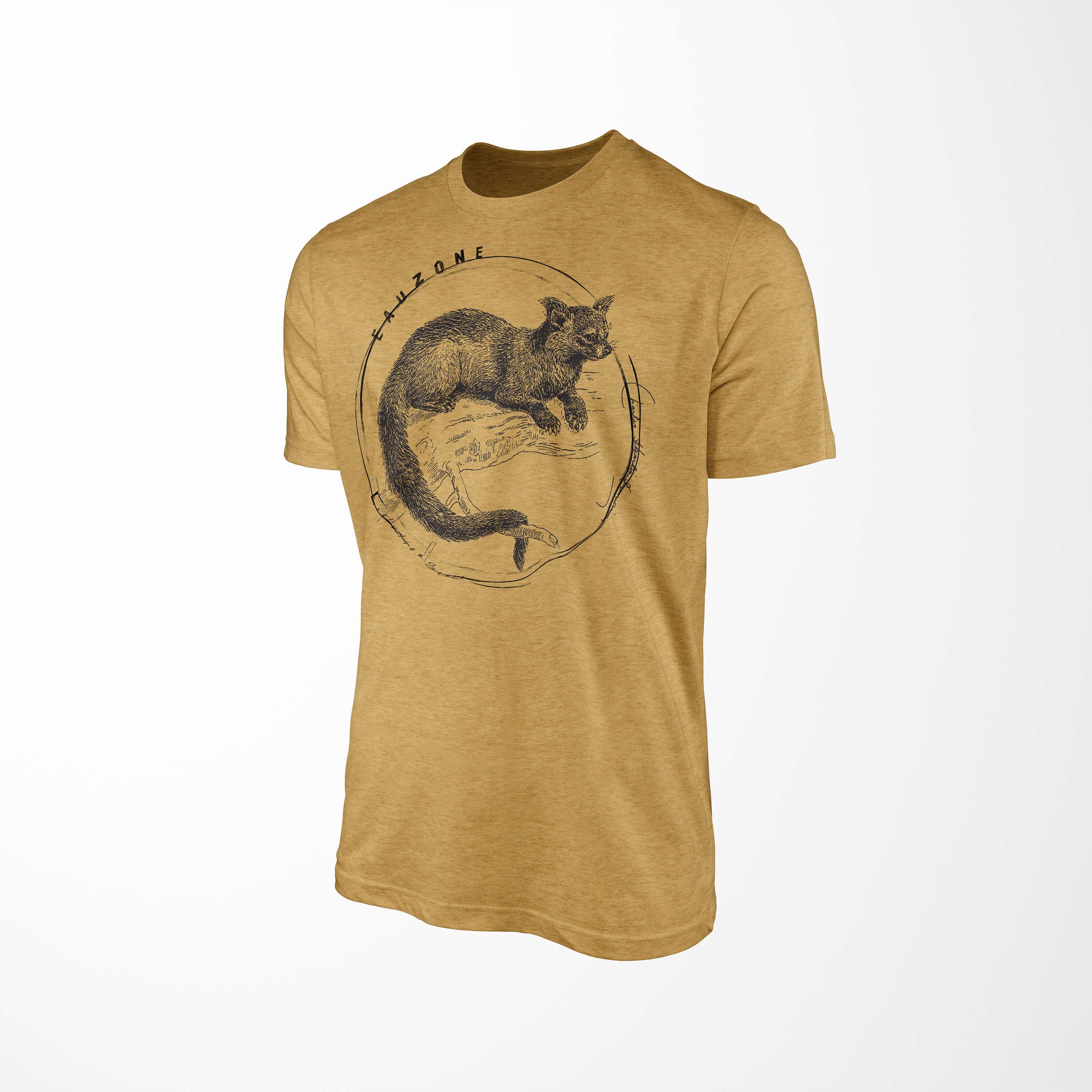 T-Shirt Antique Herren Art Evolution T-Shirt Sinus Gold Marderbär
