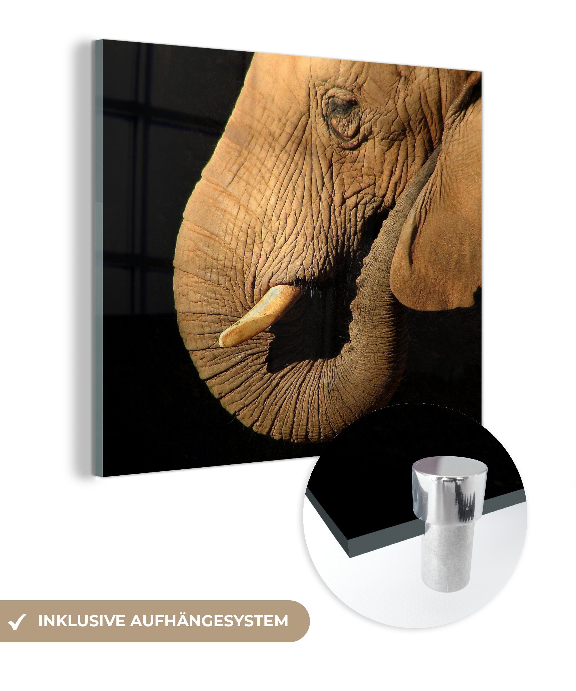 MuchoWow Acrylglasbild Elefant - Tiere Nahaufnahme (1 St), - Bilder Glasbilder - Glas - Wandbild auf Foto - Glas auf Schwarz, Wanddekoration 