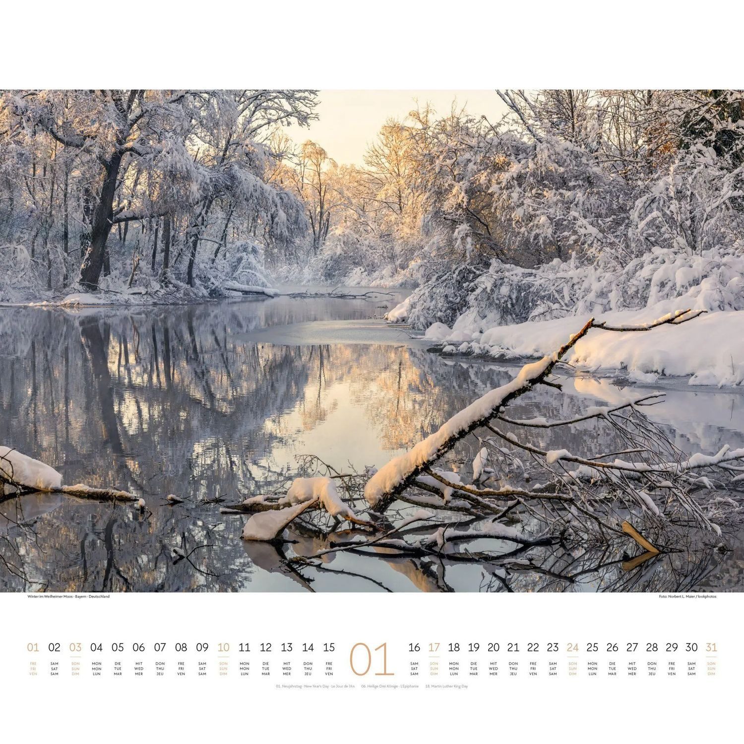 Ackermann Wandkalender Wald Kalender 2027