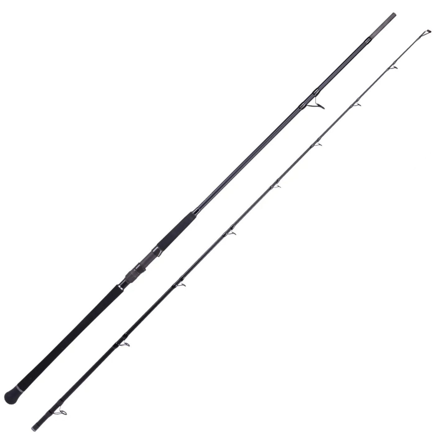 Grundrute Zeck Mr. Waller Rod 285cm 300g - Angelrute