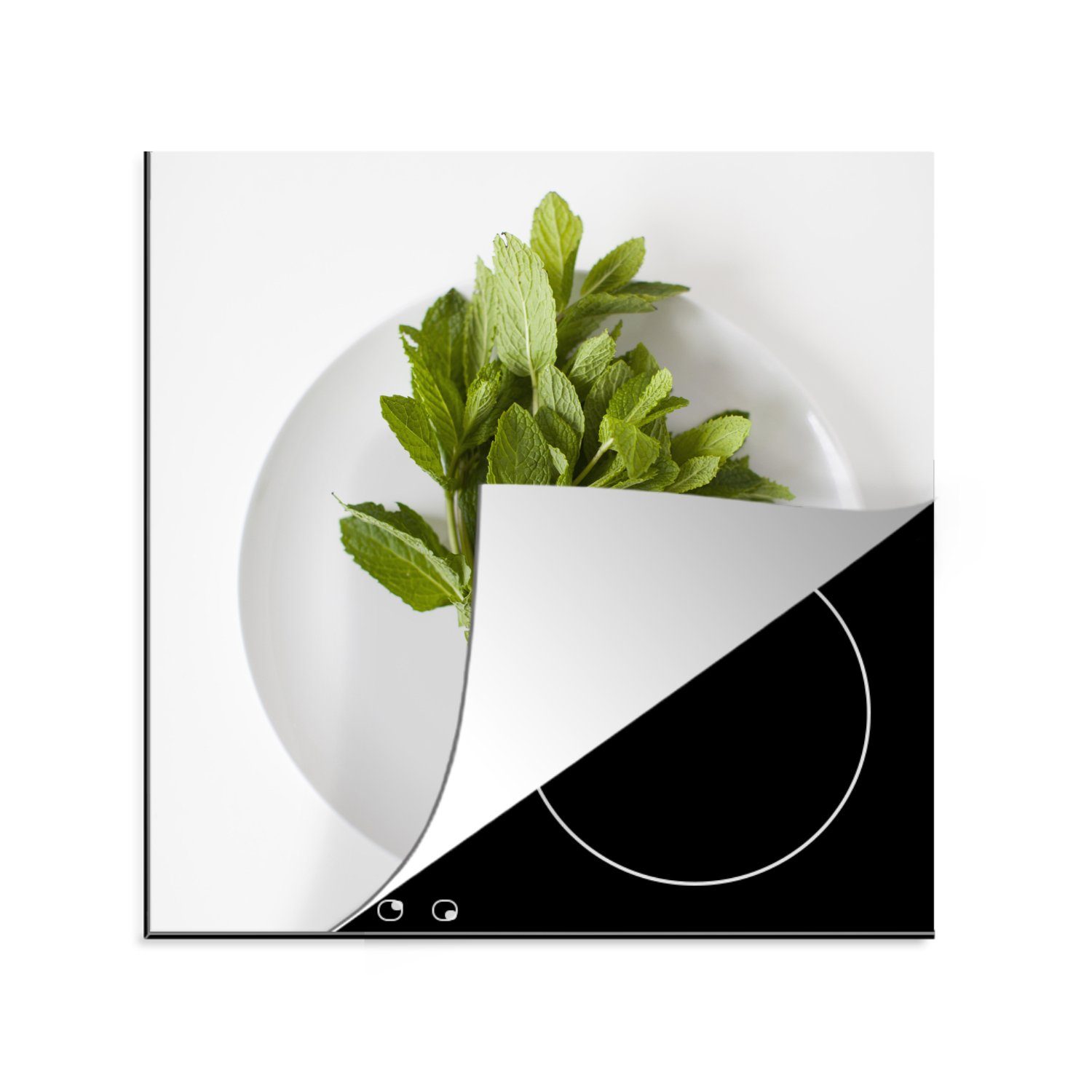 tlg), großen Vinyl, (1 cm, Porzellanteller küche mit Münzpflanze, 78x78 Arbeitsplatte einer Ein Ceranfeldabdeckung, Herdblende-/Abdeckplatte MuchoWow für