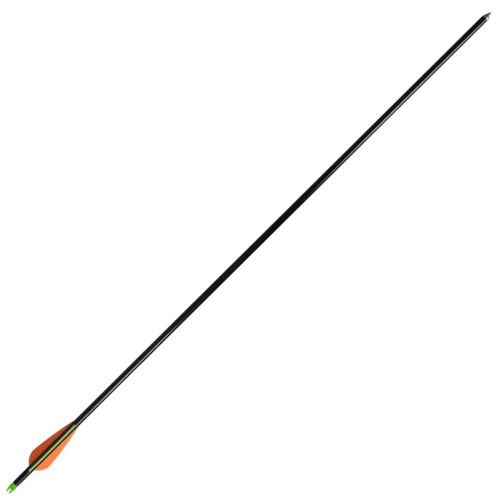 vidaXL Compoundbogen, Compoundbogen-Pfeile 30" 0,8 cm Fiberglas 12 Stk.
