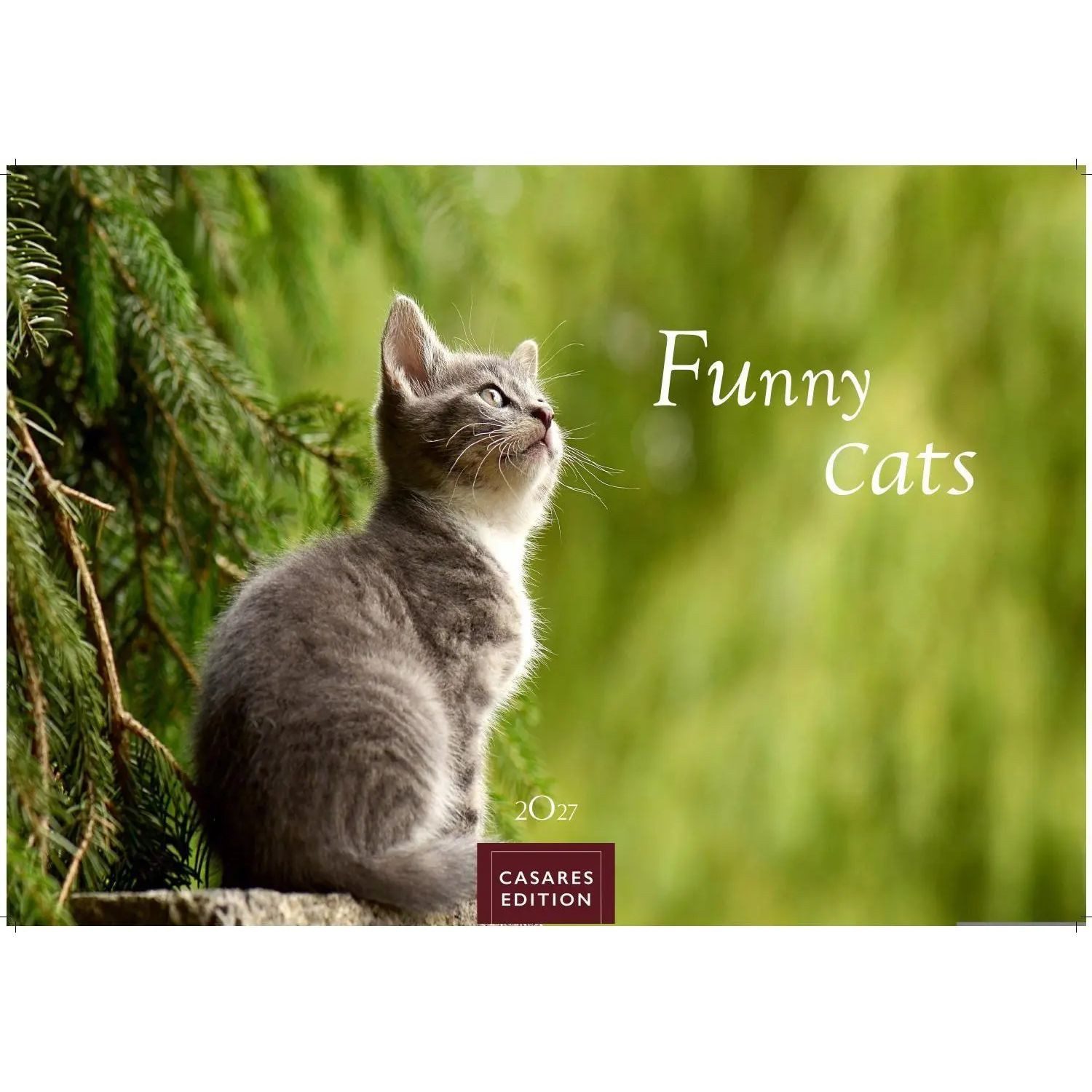 Wandkalender Funny Cats Kalender 2027 - Wandkalender, Fotokalender Tierkalender...
