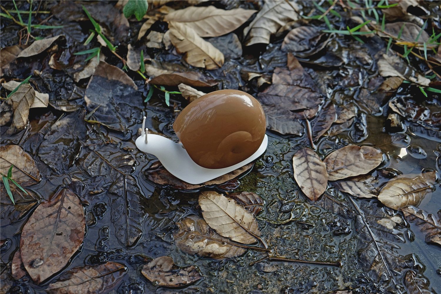 Qualy Design Seifenspender Schnecke, (ca. 17 günstig online kaufen