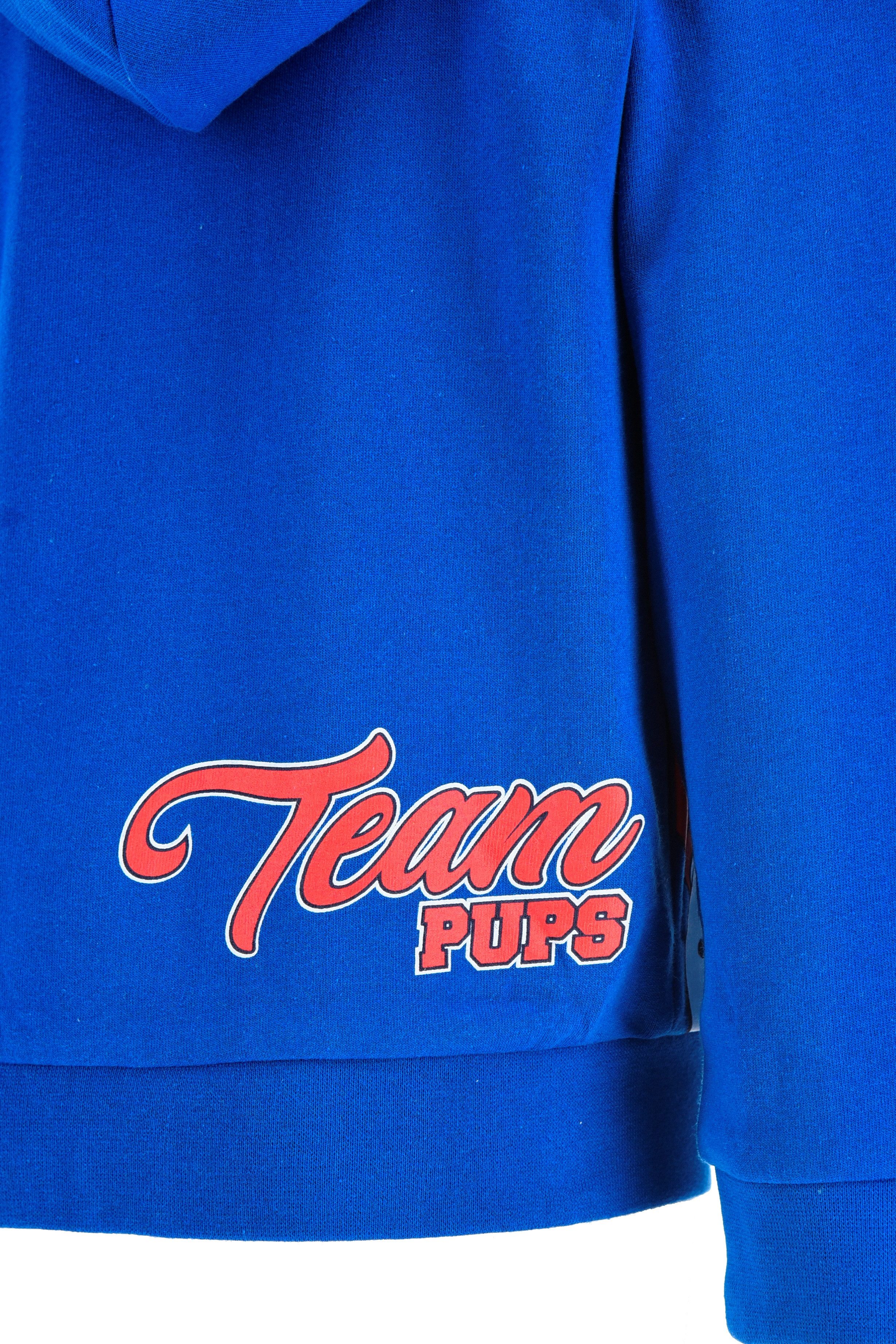 PAW PATROL Kapuzensweatshirt PAW PATROL Sweatjacke mit Kapuze, grau, Kapuzenpullover, Hoody