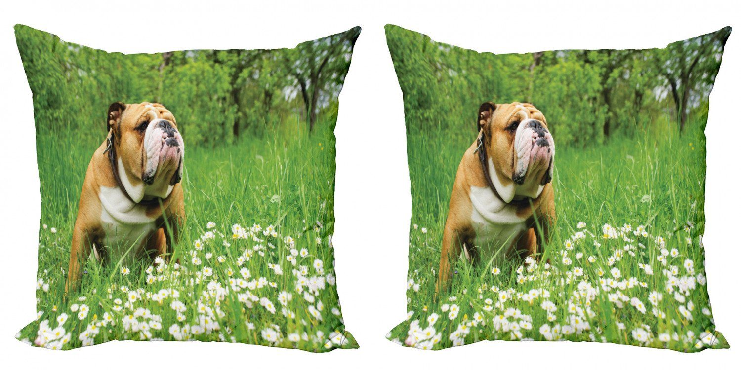 Kissenbezüge Modern Accent Doppelseitiger Digitaldruck, Abakuhaus (2 Stück), Englische Bulldogge Blossom Gänseblümchen