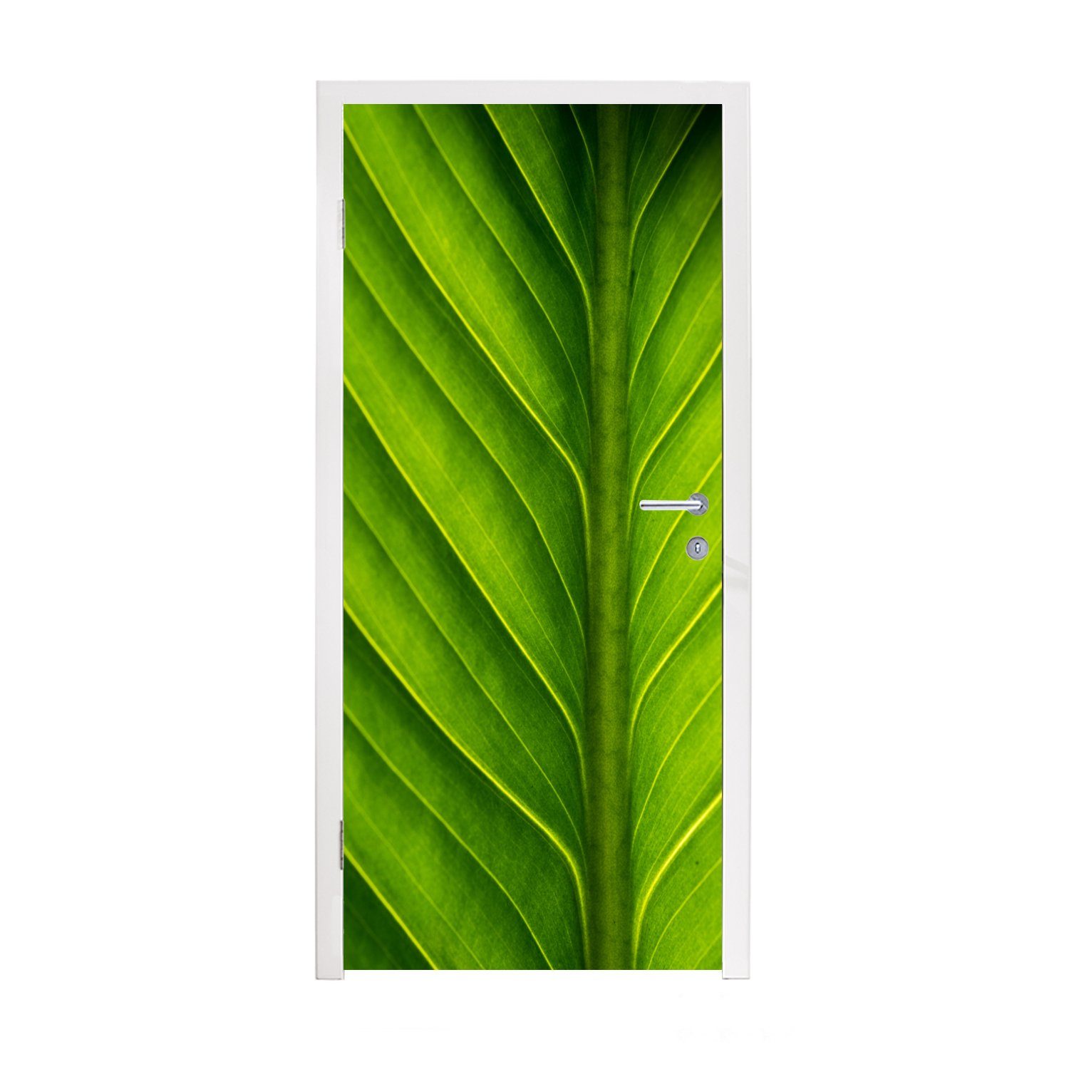 MuchoWow Türtapete Foto eines hellgrünen botanischen Blattes, Matt, bedruckt, (1 St), Fototapete für Tür, Türaufkleber, 75x205 cm