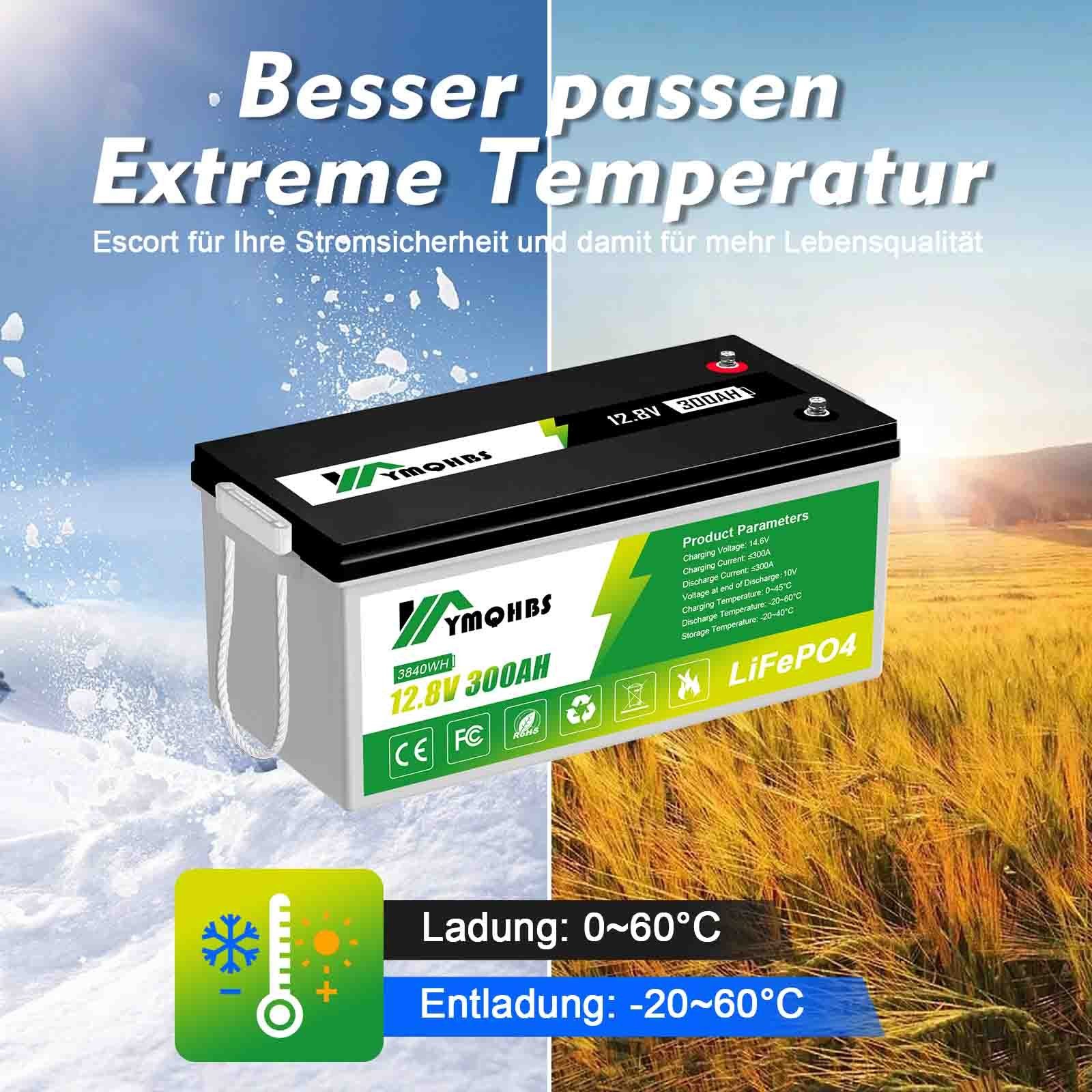 AKKU LiFePO4 300Ah Batterie 12V GLIESE