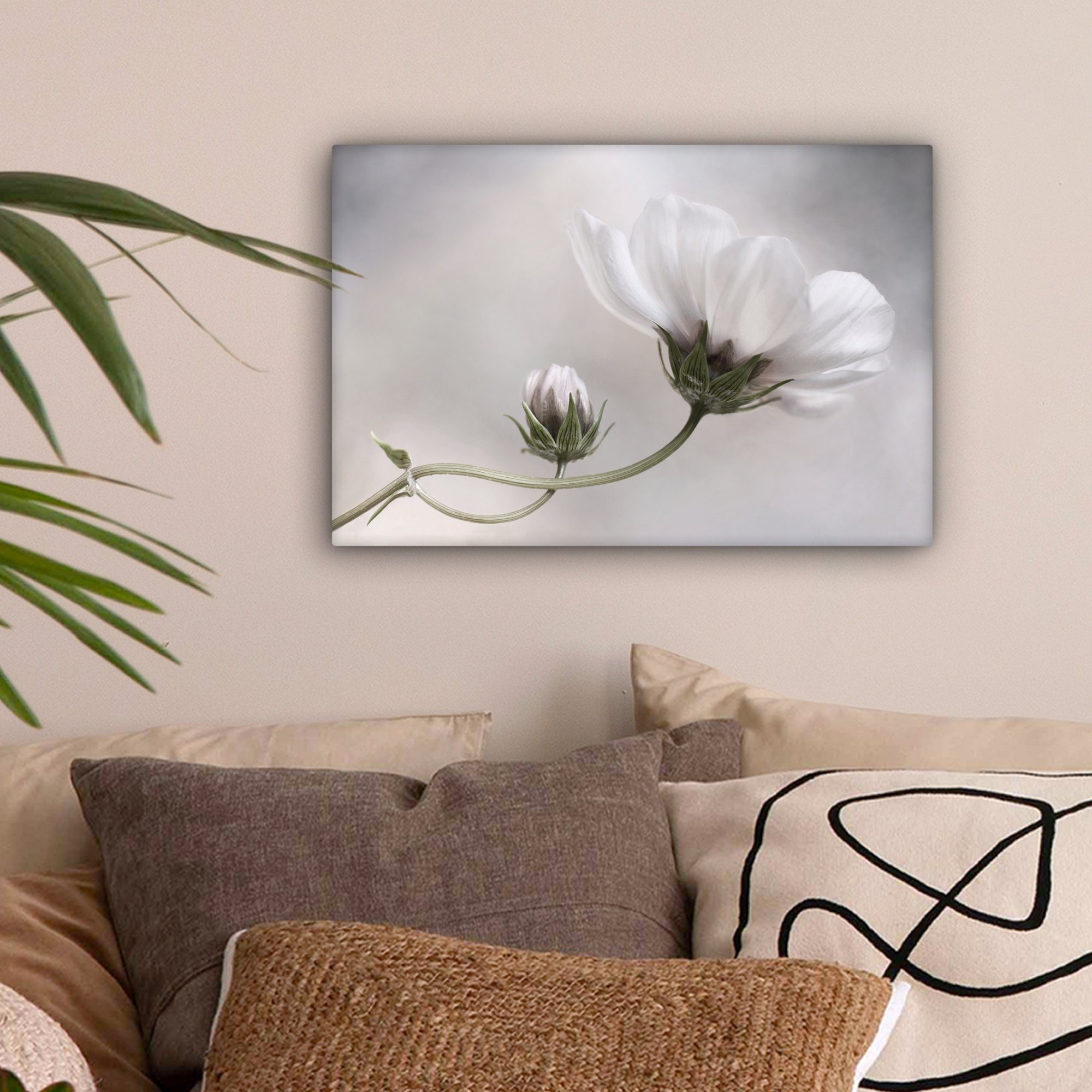 OneMillionCanvasses® Leinwandbild Blumen - Stillleben - Natur - Grau, Fotod günstig online kaufen