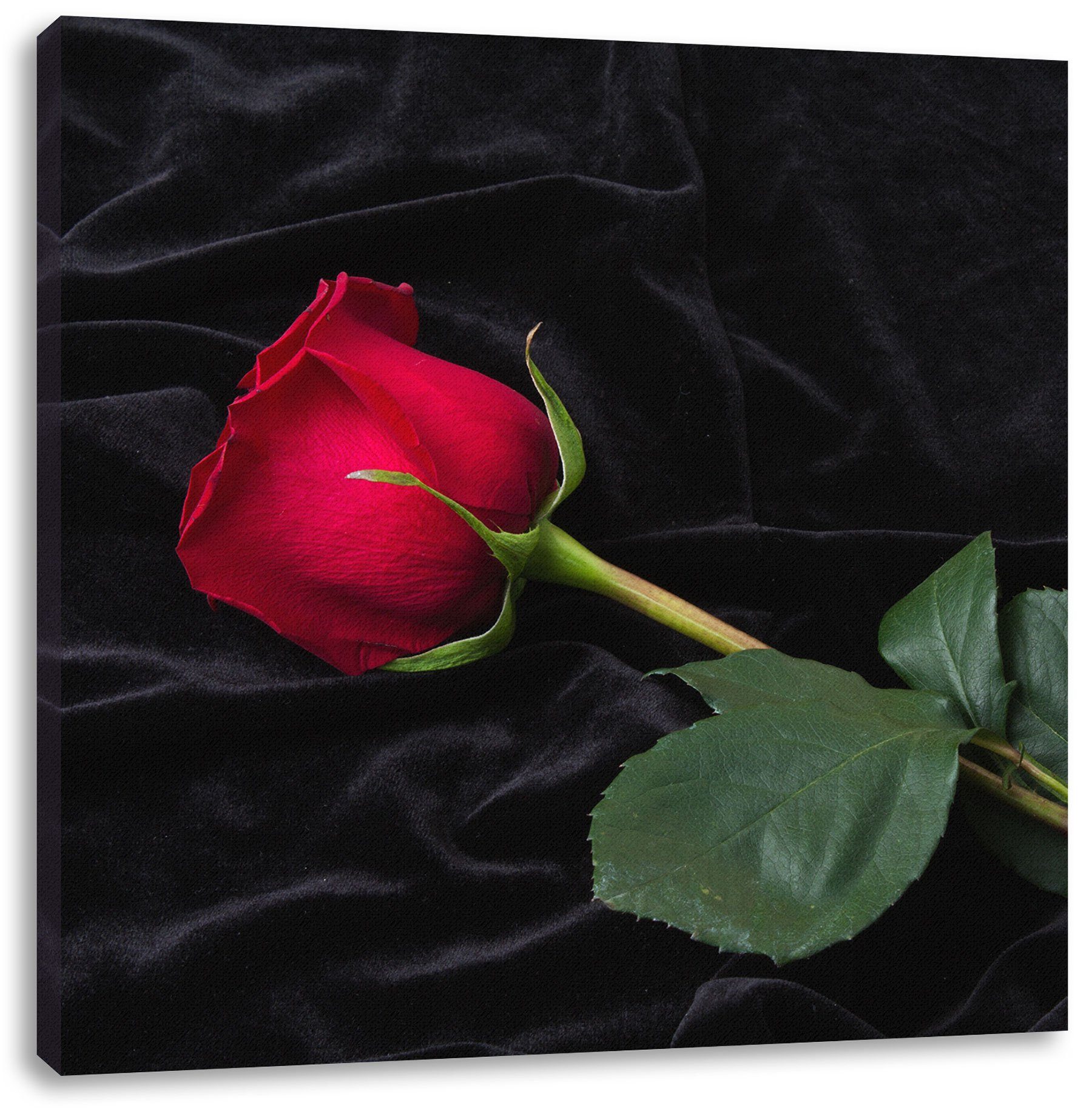 Pixxprint Leinwandbild Rose, Rose (1 St), Leinwandbild fertig bespannt, inkl. Zackenaufhänger