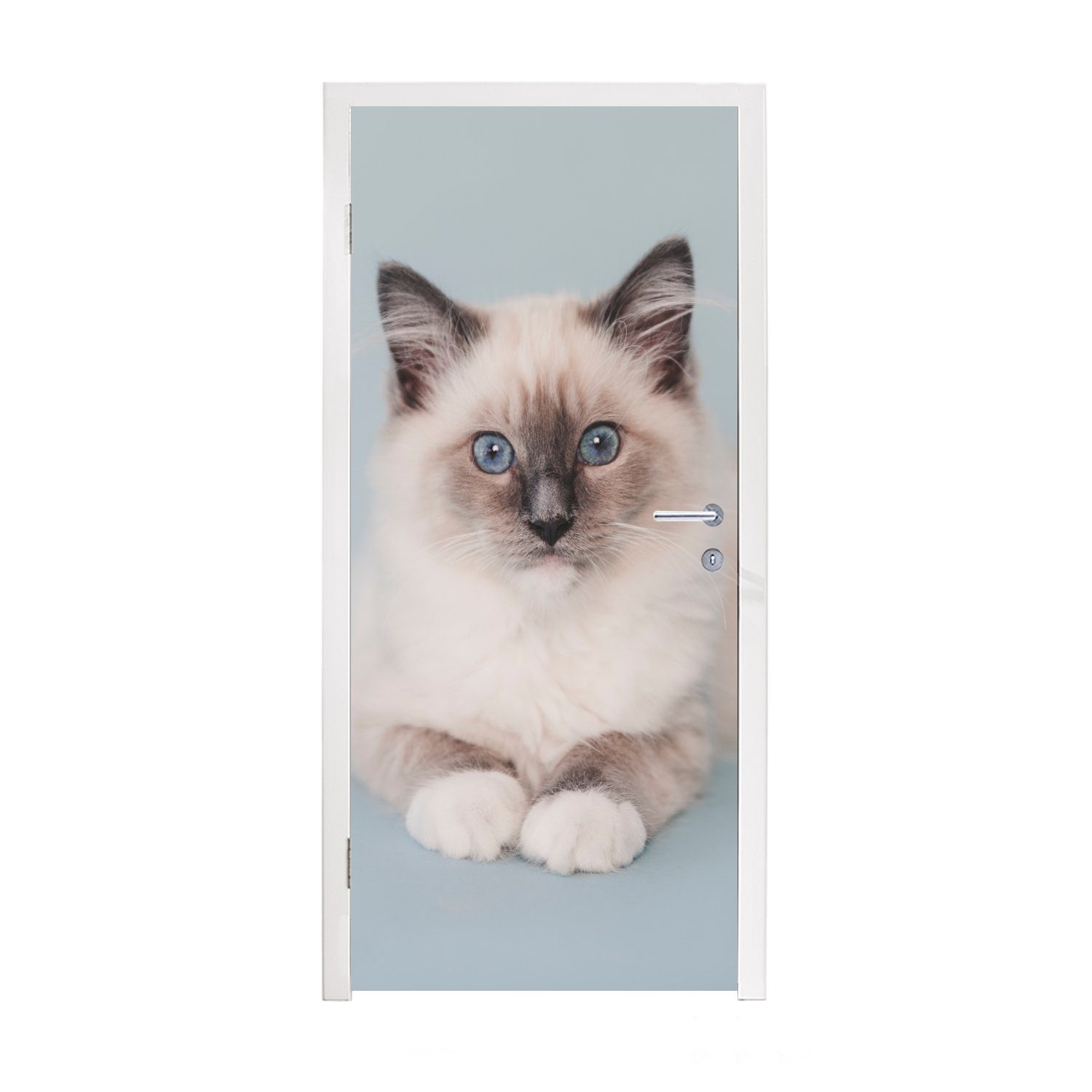 MuchoWow Türtapete Katze - Ragdoll Katze - Blau - Mädchen - Kinder - Jungen - Kind, Matt, bedruckt, (1 St), Fototapete für Tür, Türaufkleber, 75x205 cm