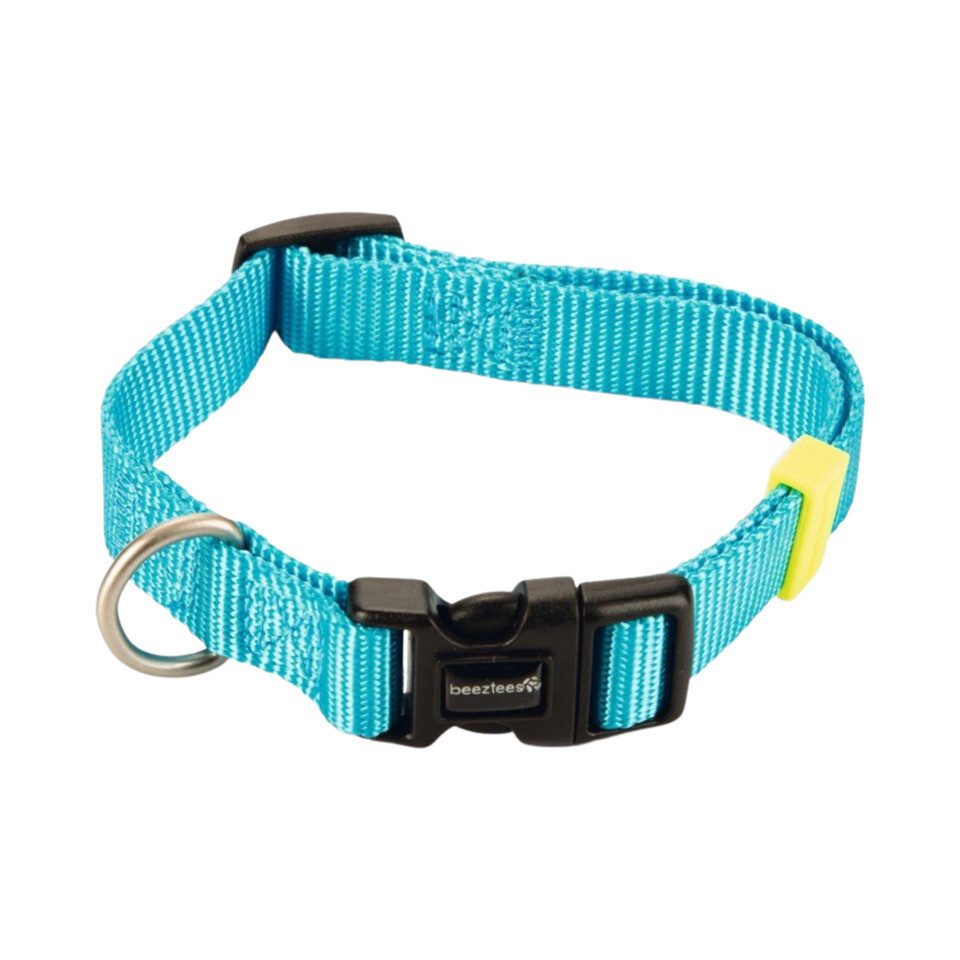 Hunde-Halsband Hundehalsband Uni hellblau
